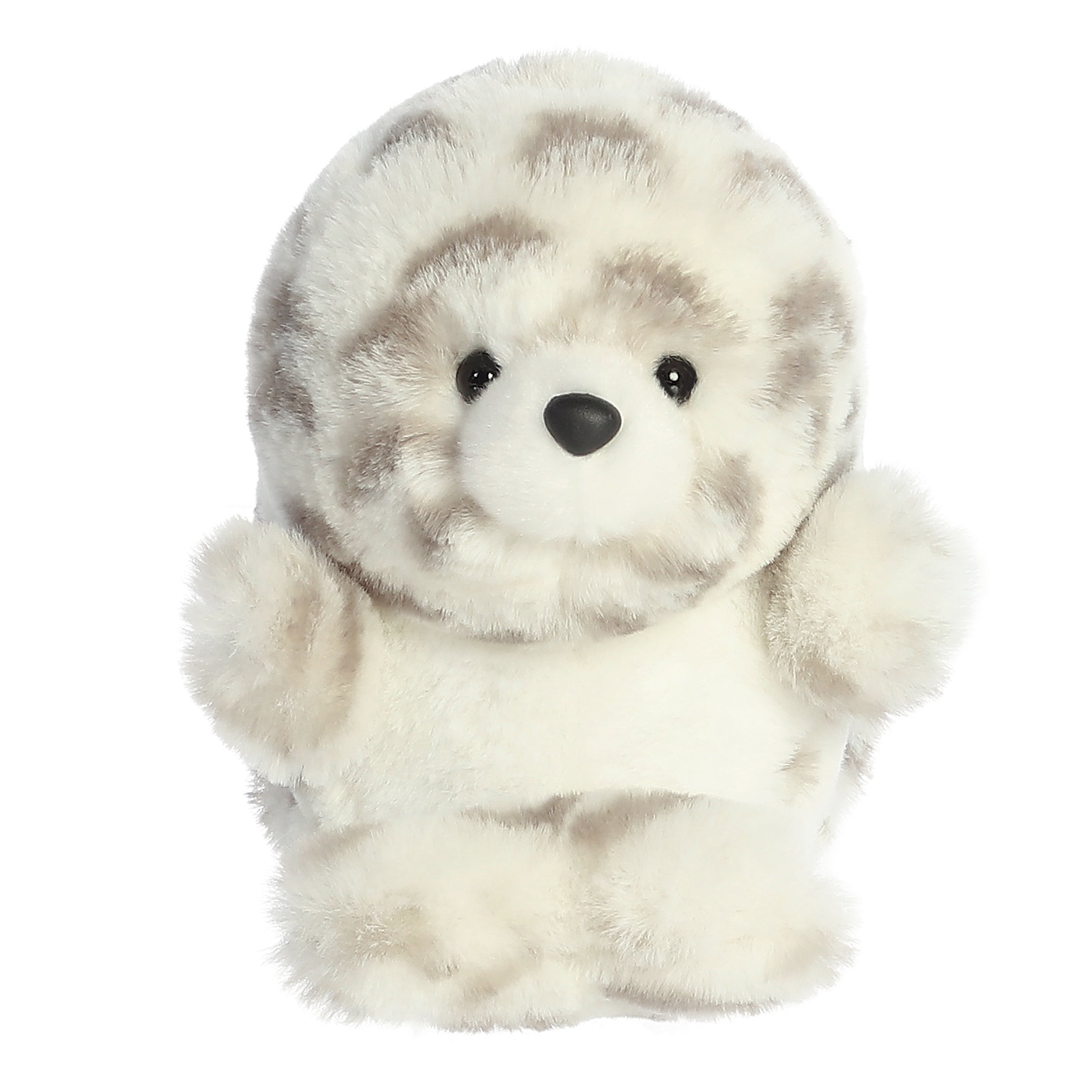 Hadley Harbor Seal | Aurora Rolly Pet