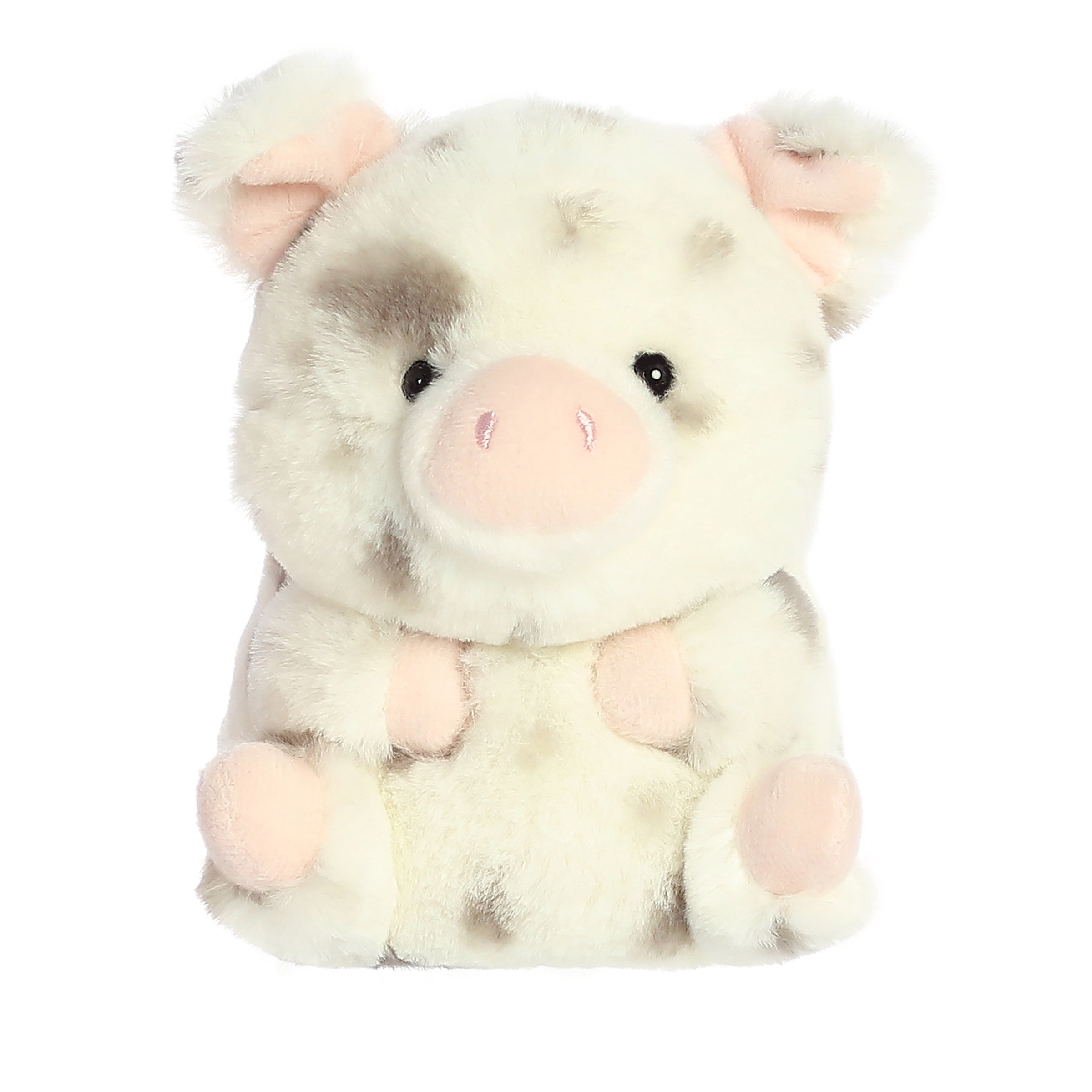 Periwinkle Pig | Aurora Rolly Pet