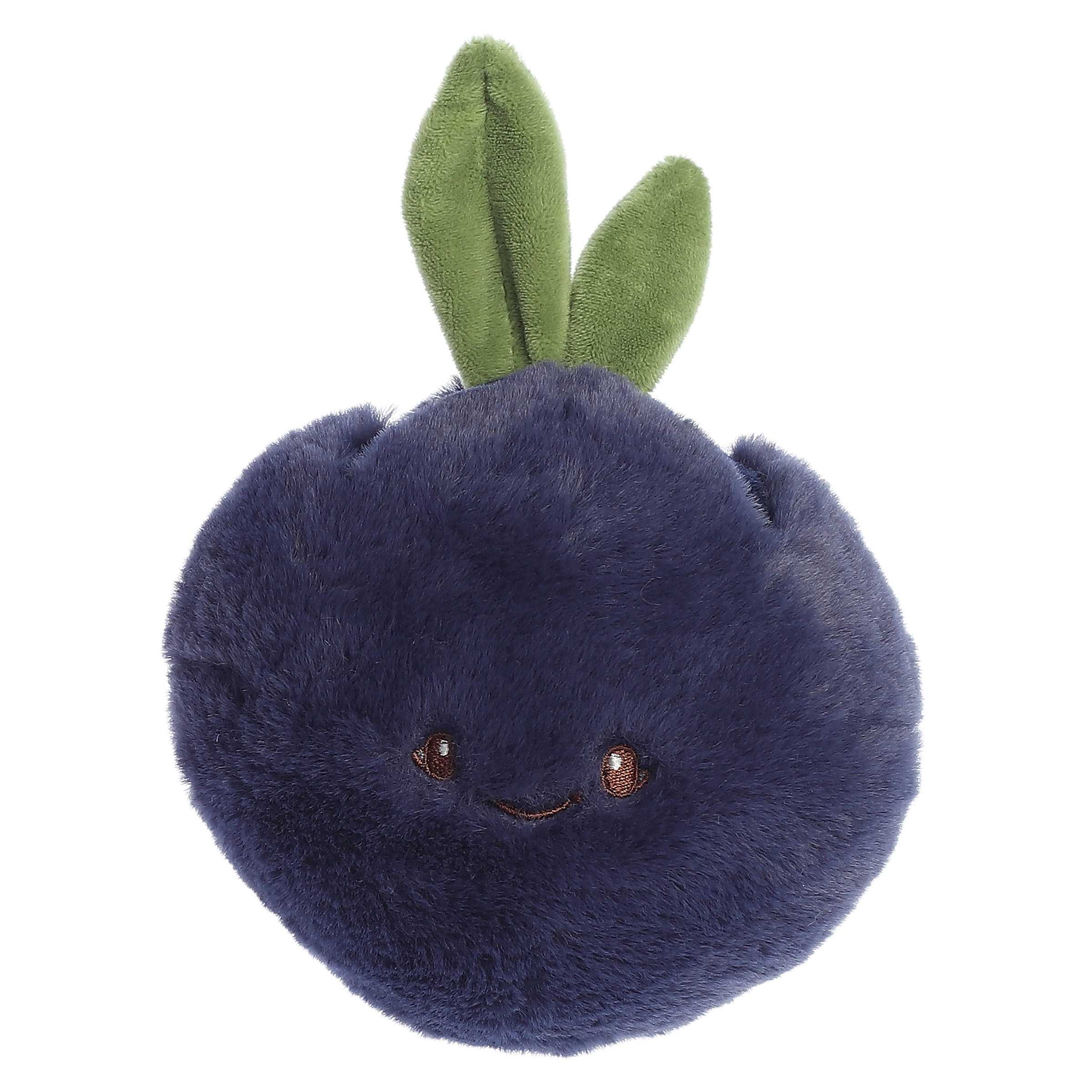 Blueberry | Ebba Precious Produce