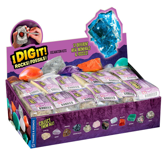 I Dig It! Rocks & Fossils | Mineral & Fossil Excavation