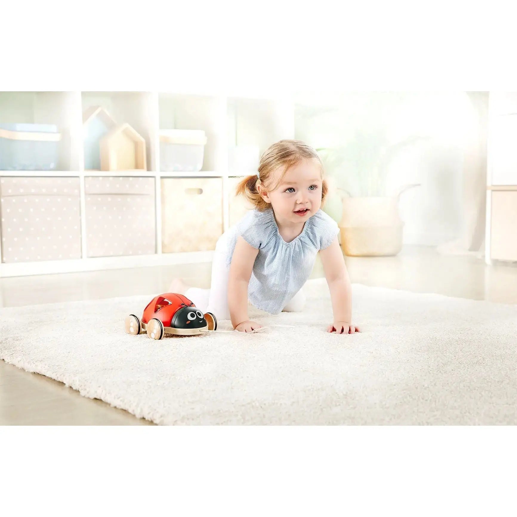 Shape Sorter Ladybug | Hape