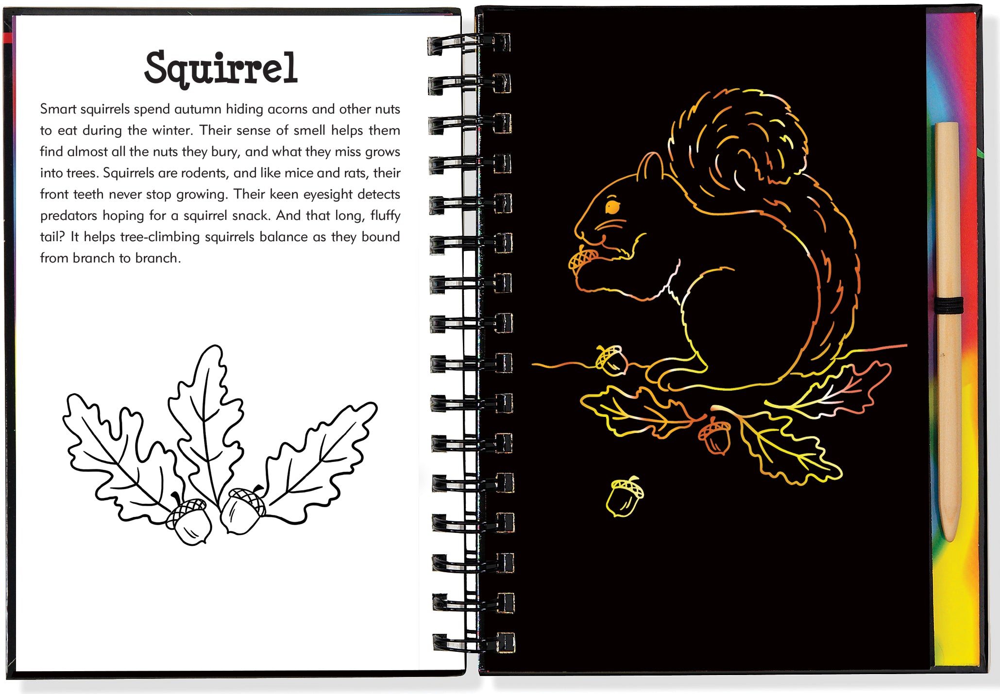 Scratch and Sketch | Forest Friends Kaboodles Toy Store - Victoria