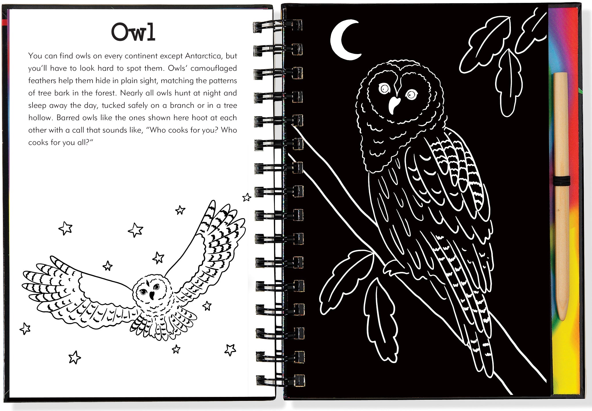 Scratch and Sketch | Forest Friends Kaboodles Toy Store - Victoria