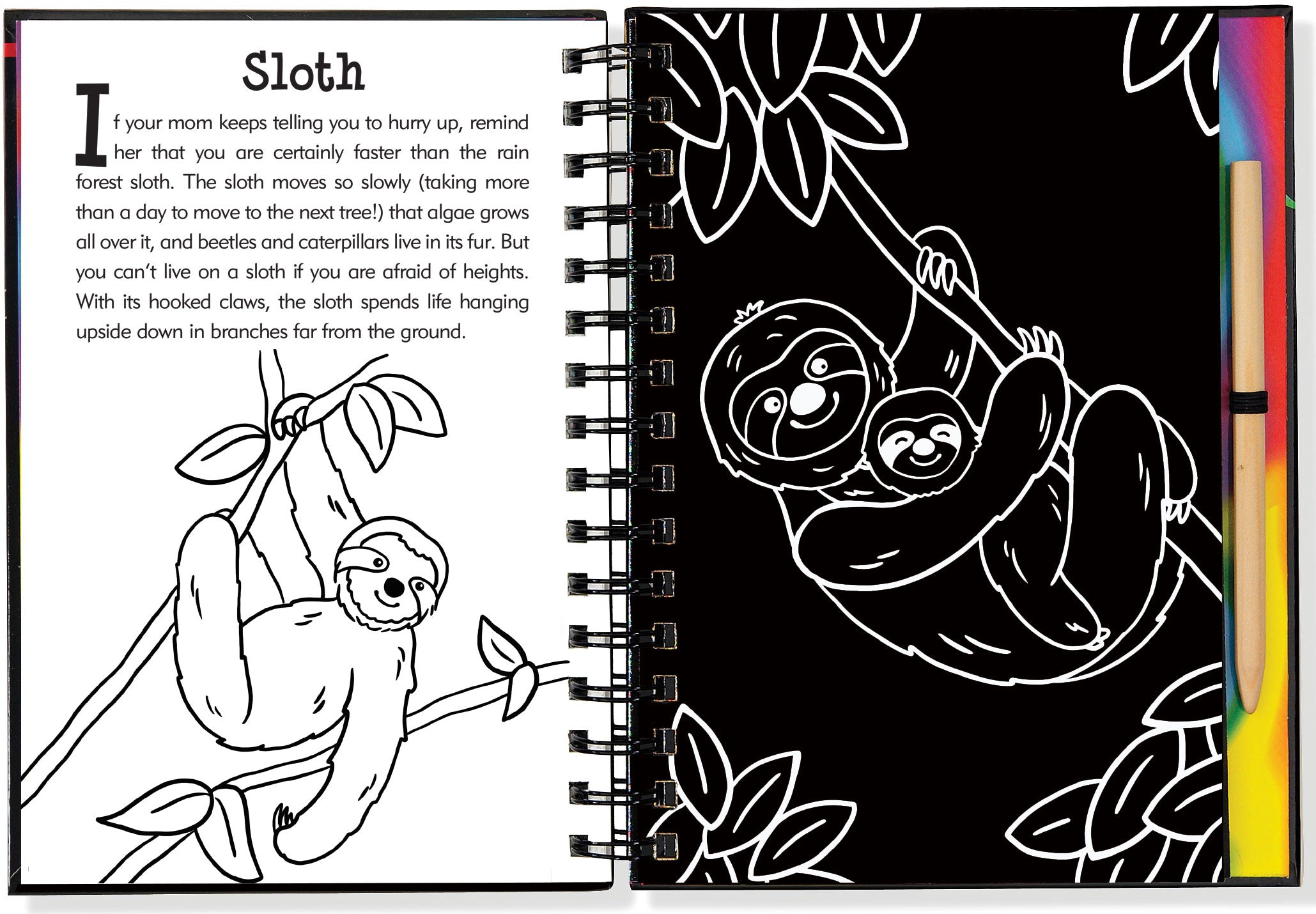 Scratch and Sketch | Rain Forest Kaboodles Toy Store - Victoria