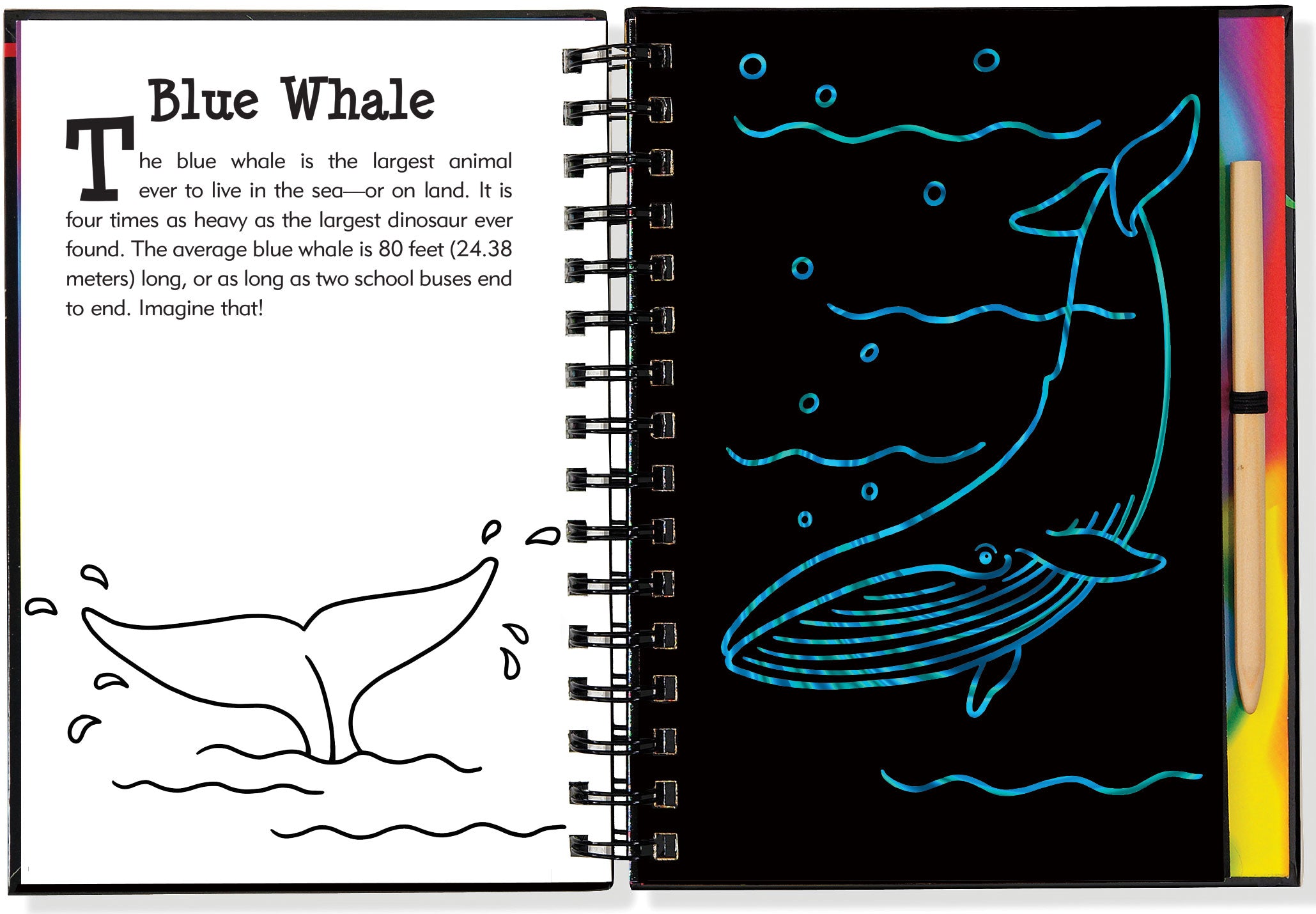 Scratch and Sketch | Under the Sea Kaboodles Toy Store - Victoria