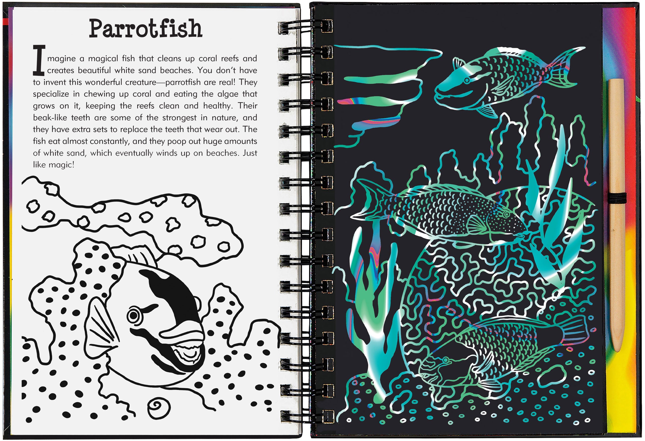 Scratch and Sketch | Coral Reefs Kaboodles Toy Store - Victoria