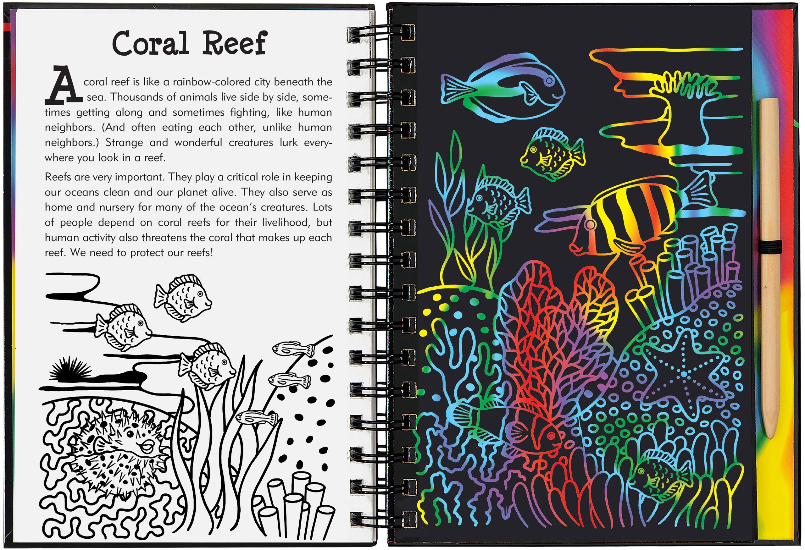 Scratch and Sketch | Coral Reefs Kaboodles Toy Store - Victoria