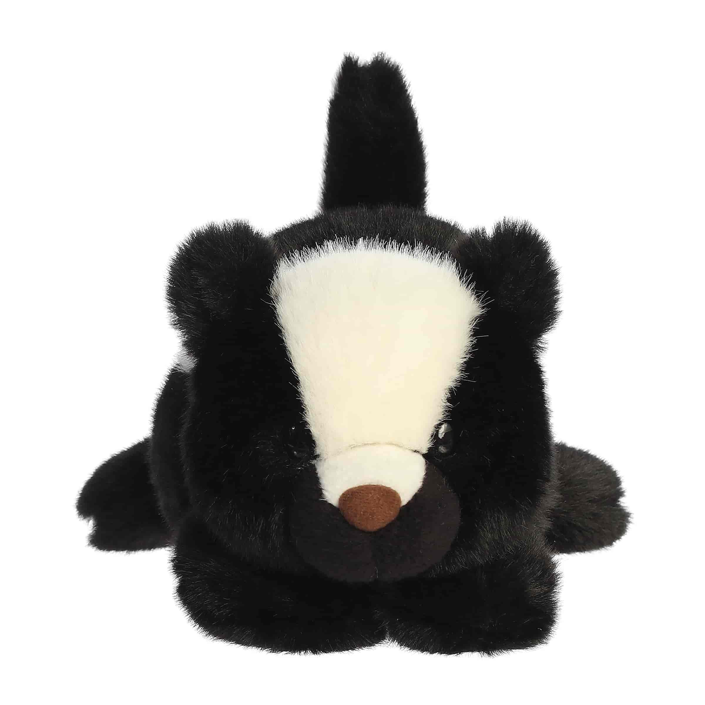 Skyler Skunk | Aurora Rumpler