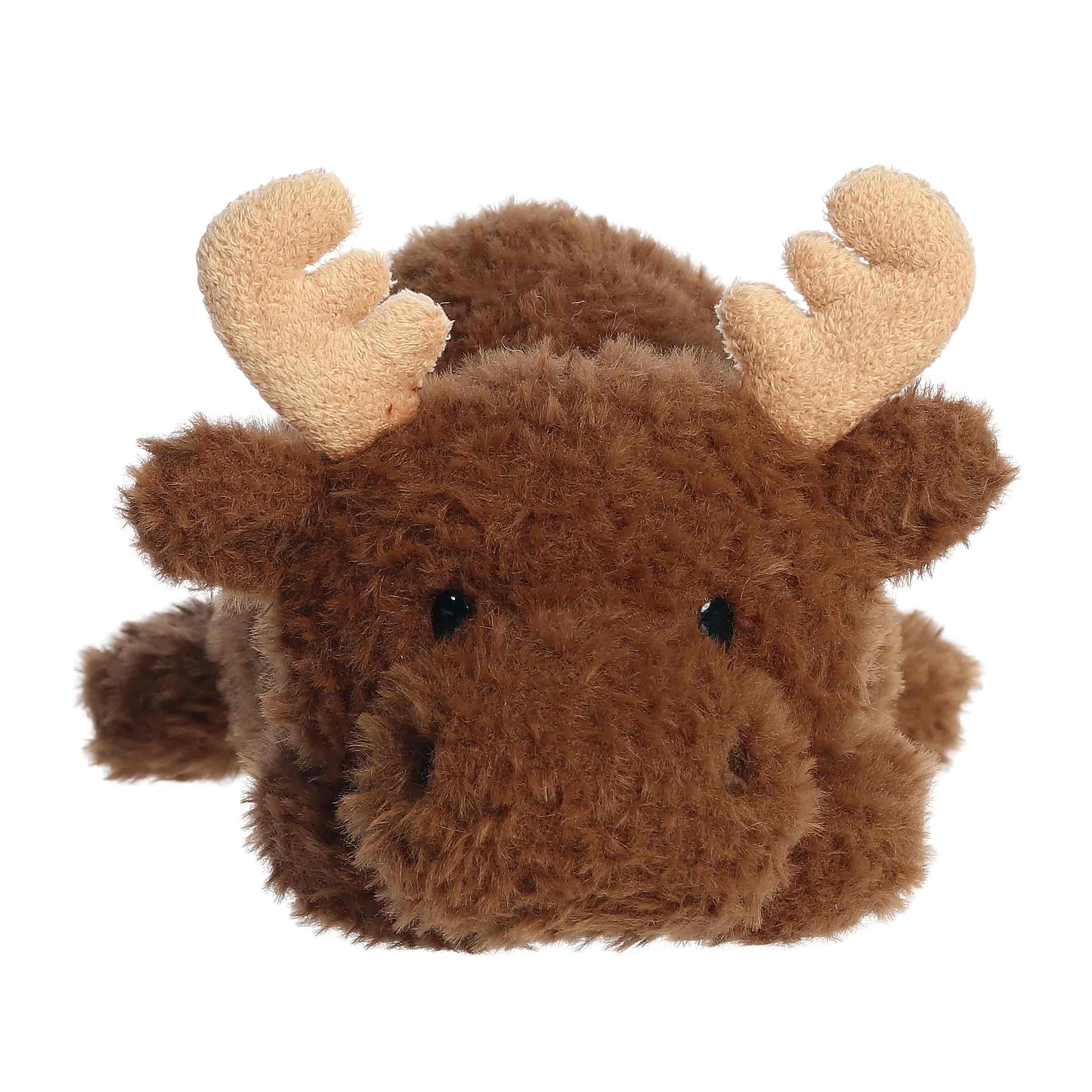 Mylo Moose | Aurora Rumpler