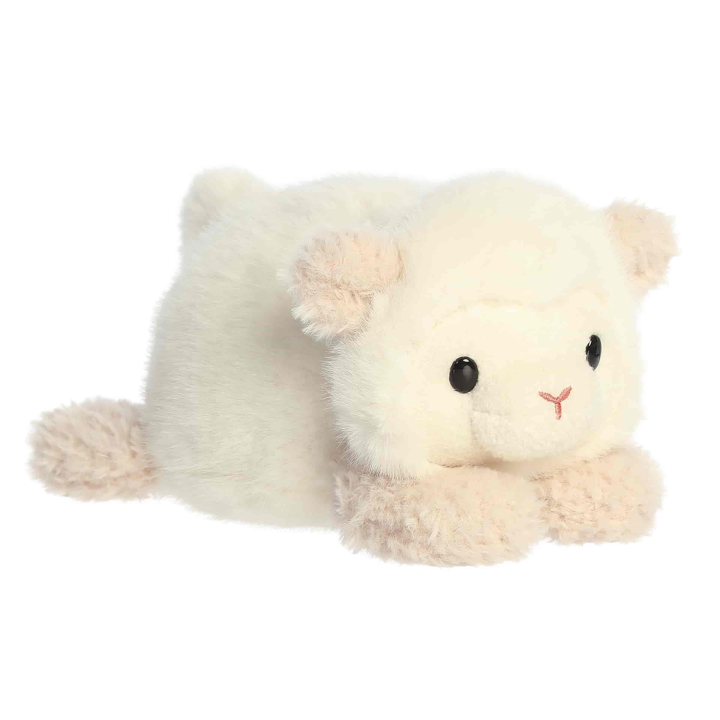 Lachlan Lamb | Aurora Rumpler