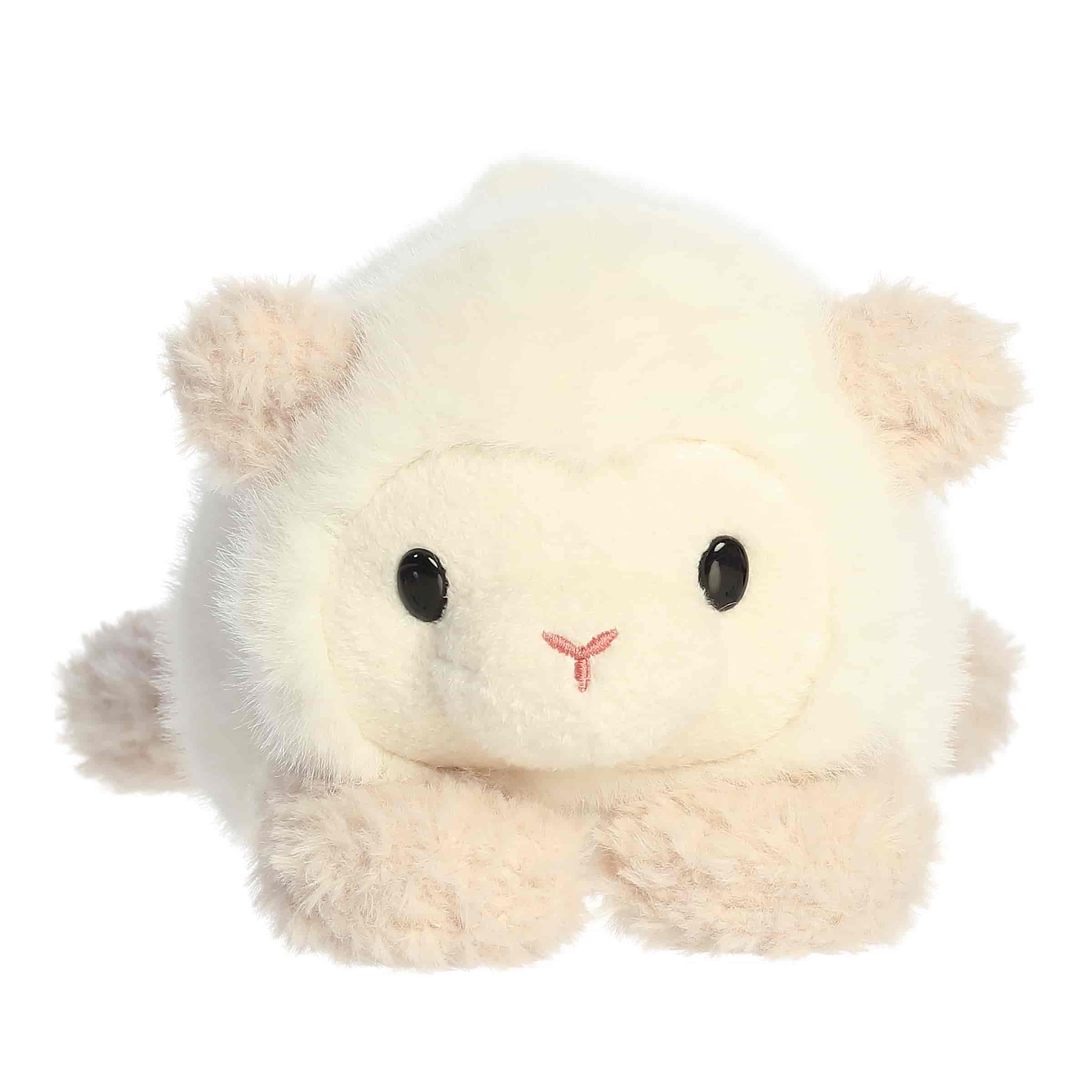 Lachlan Lamb | Aurora Rumpler