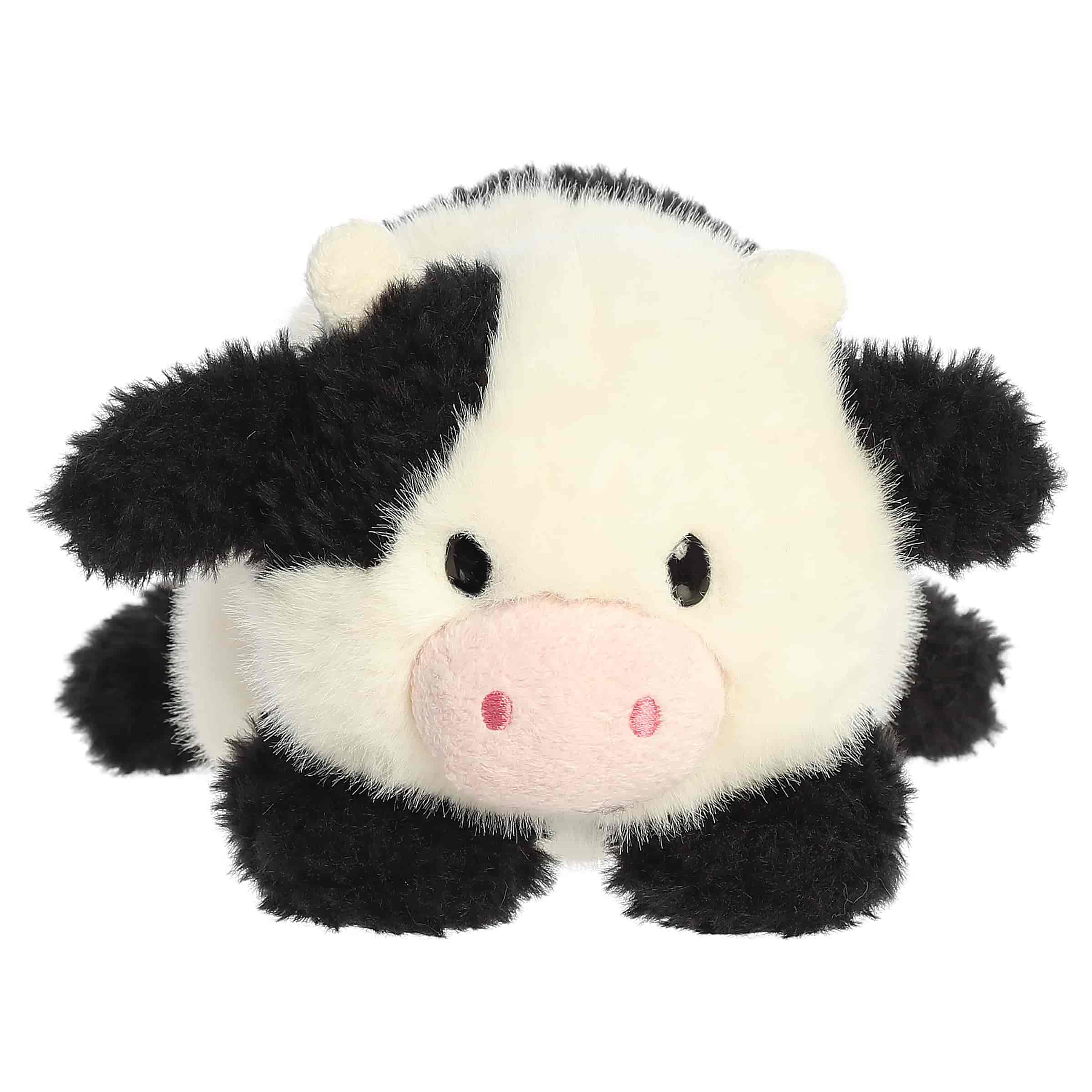 Connor Cow | Aurora Rumpler