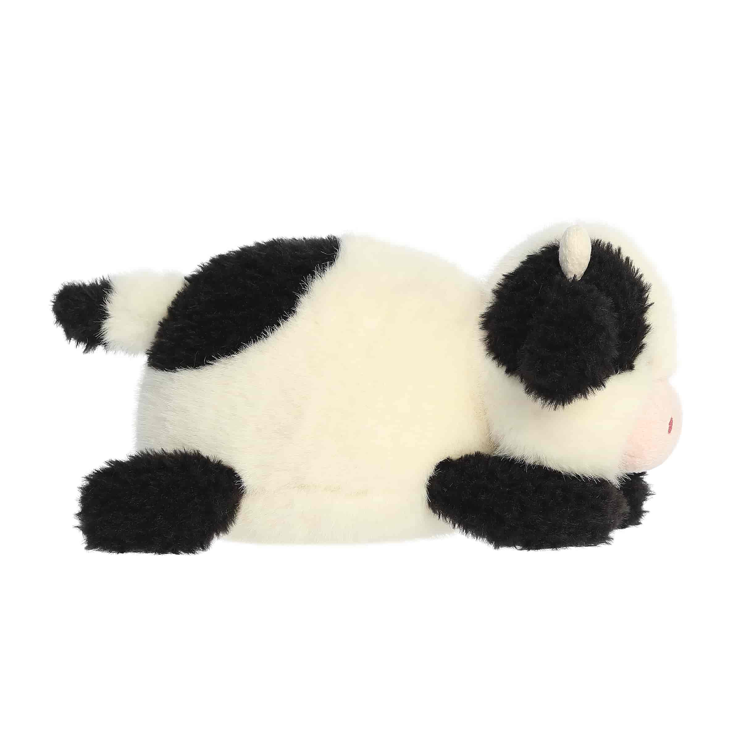 Connor Cow | Aurora Rumpler
