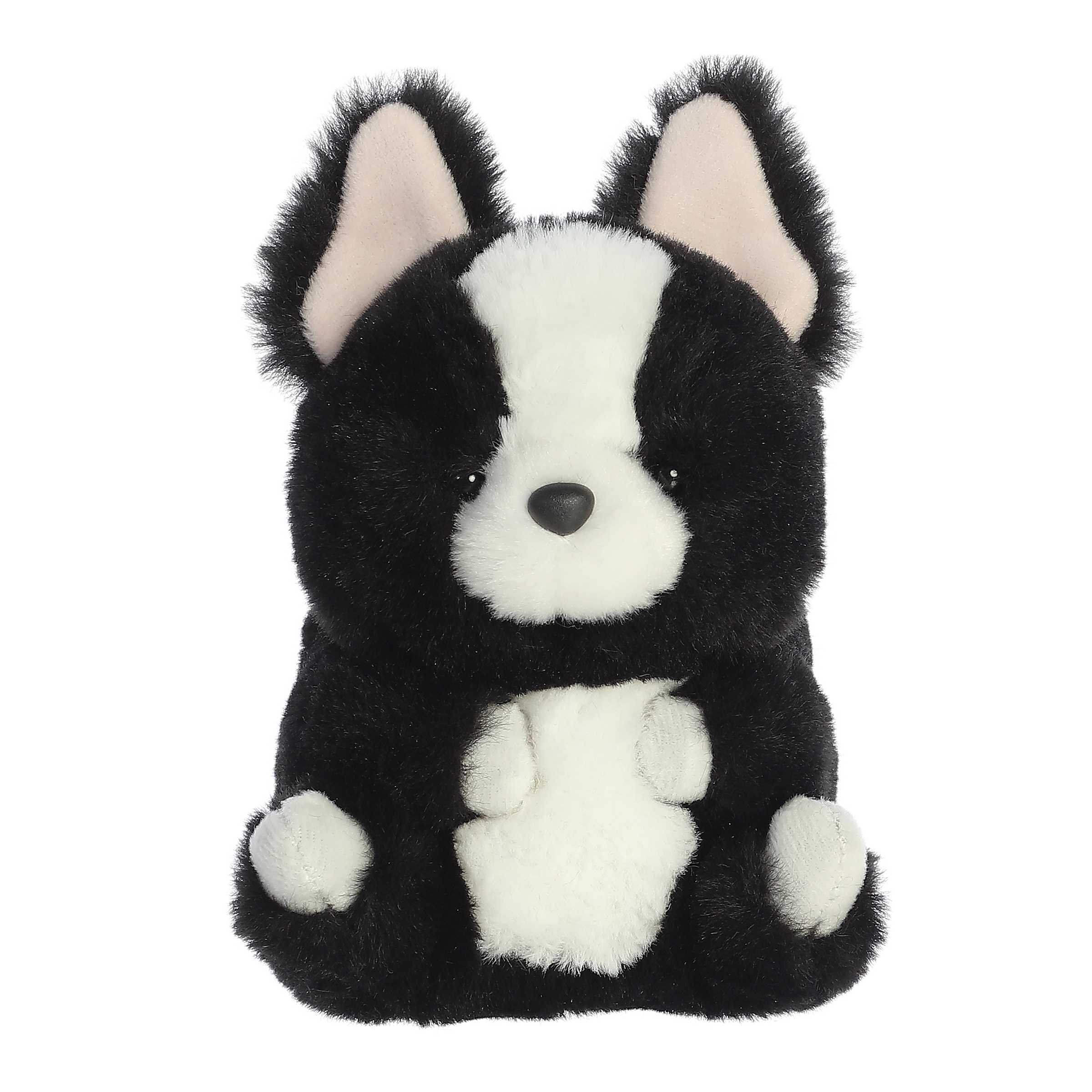 Ava French Bulldog | Aurora Rolly Pet