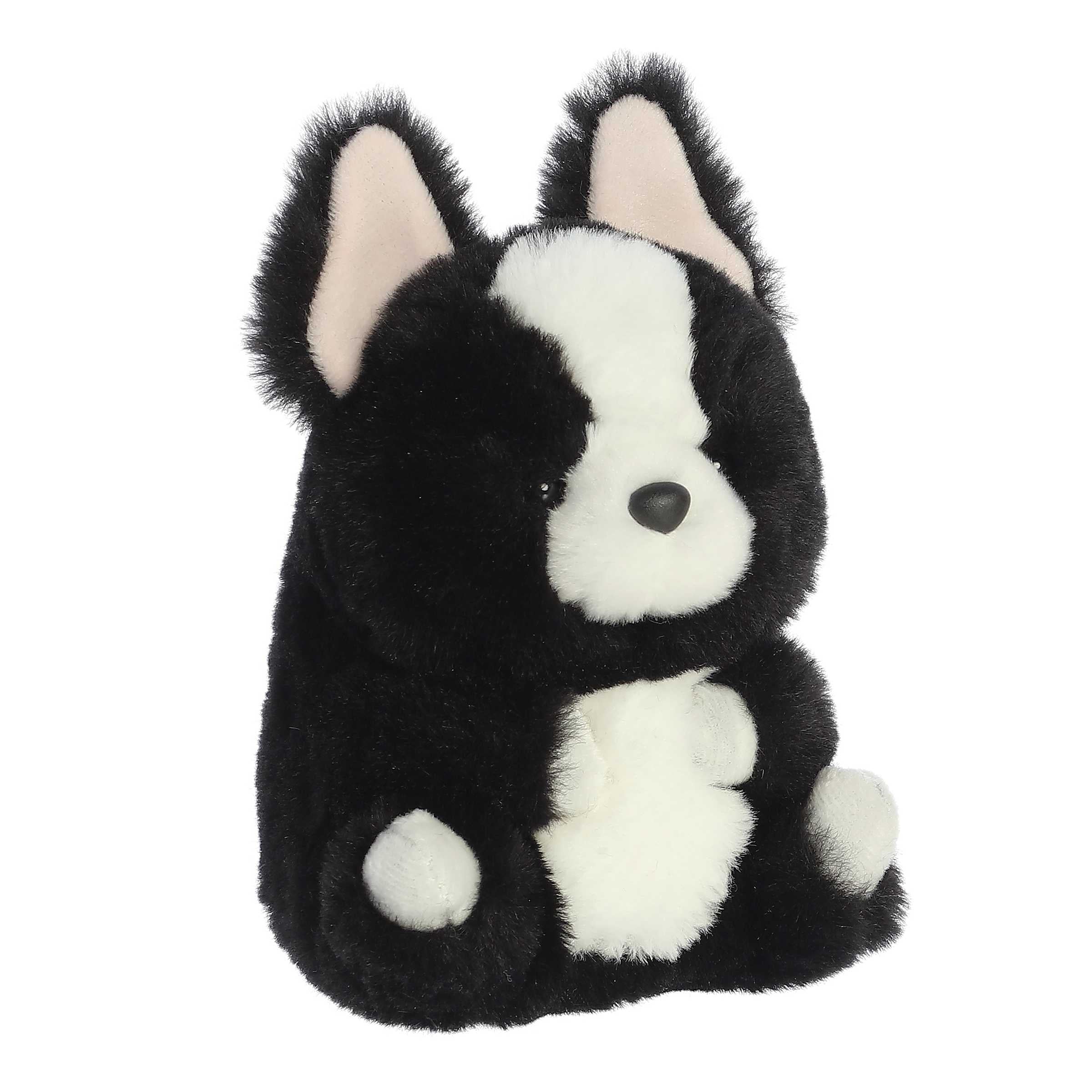 Ava French Bulldog | Aurora Rolly Pet