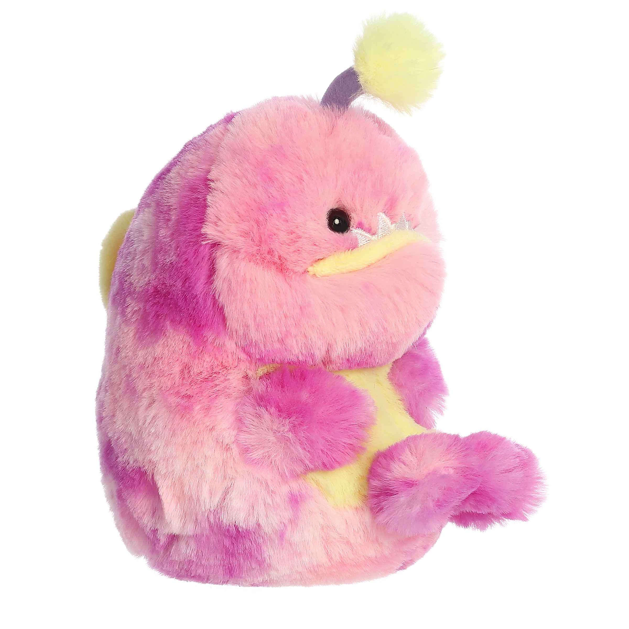 Angel Angler Fish | Aurora Rolly Pet
