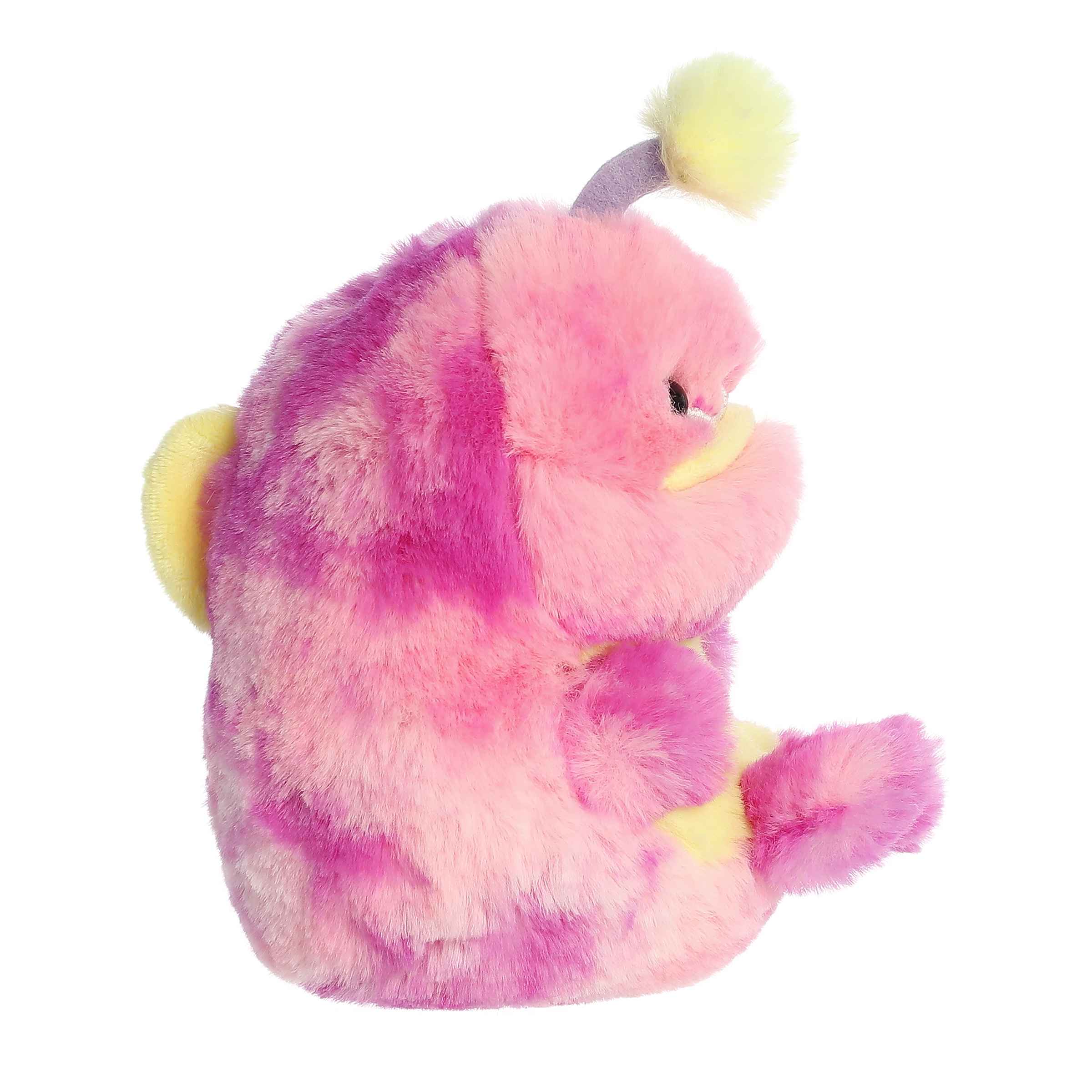 Angel Angler Fish | Aurora Rolly Pet
