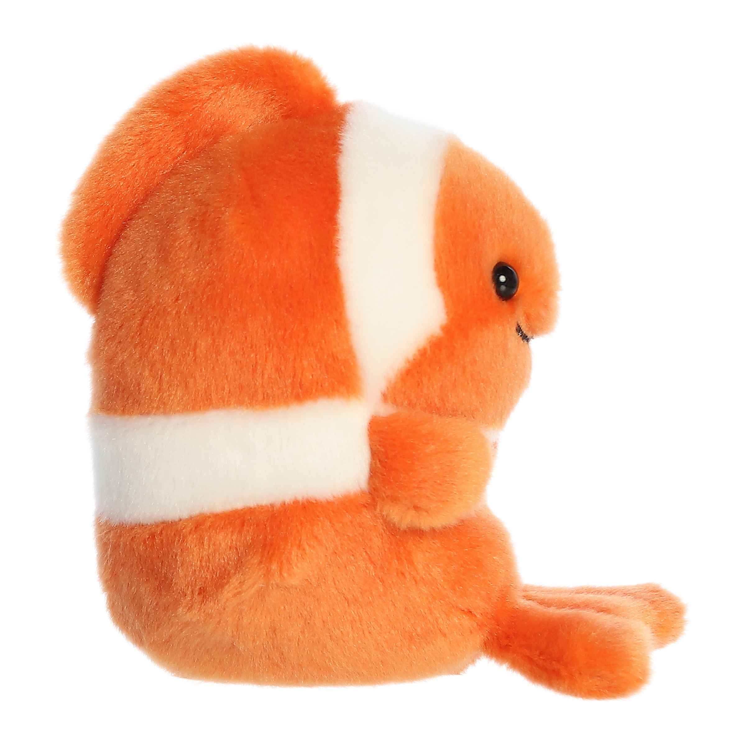 Comic Clown Fish | Aurora Rolly Pet