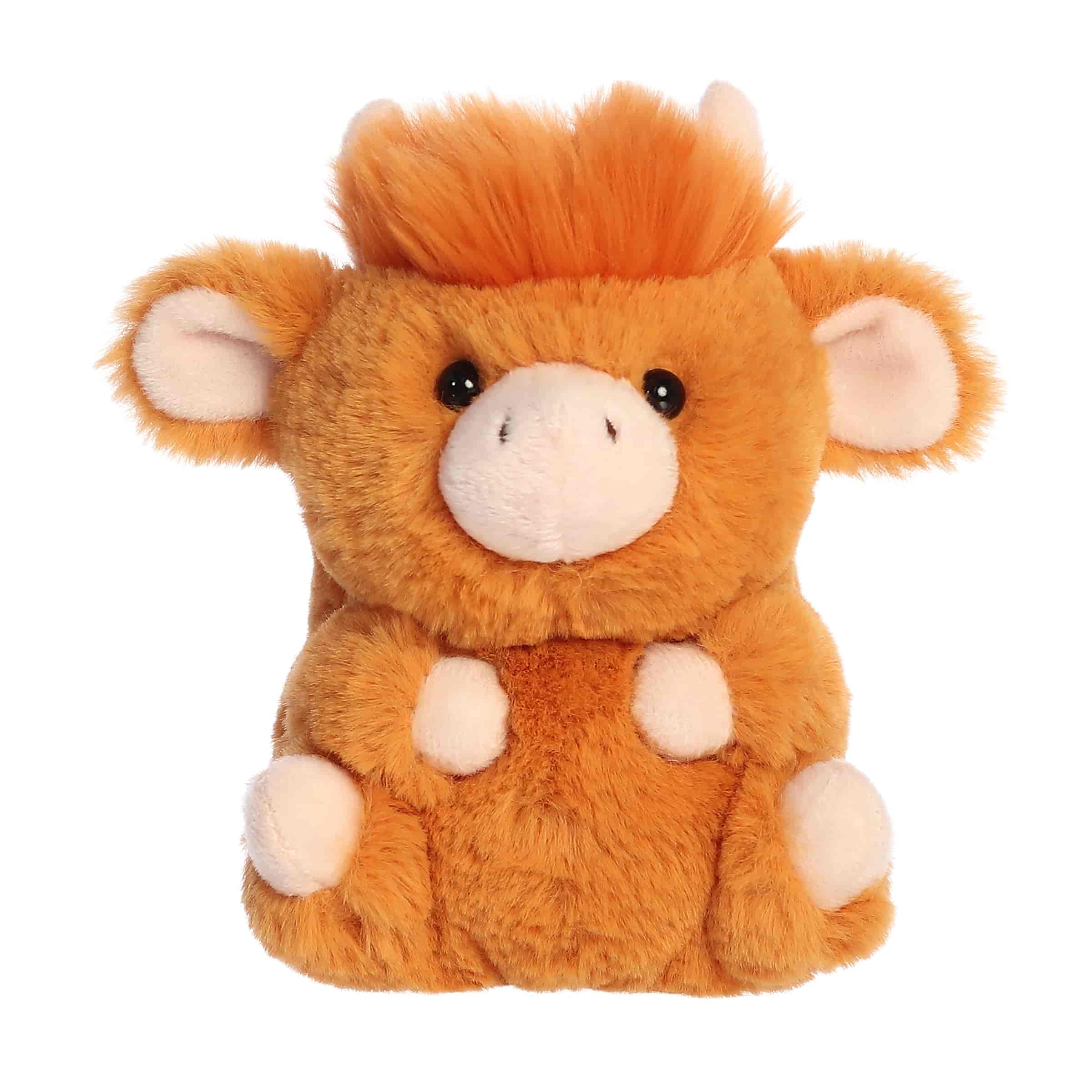 Harvey Highland | Aurora Rolly Pet