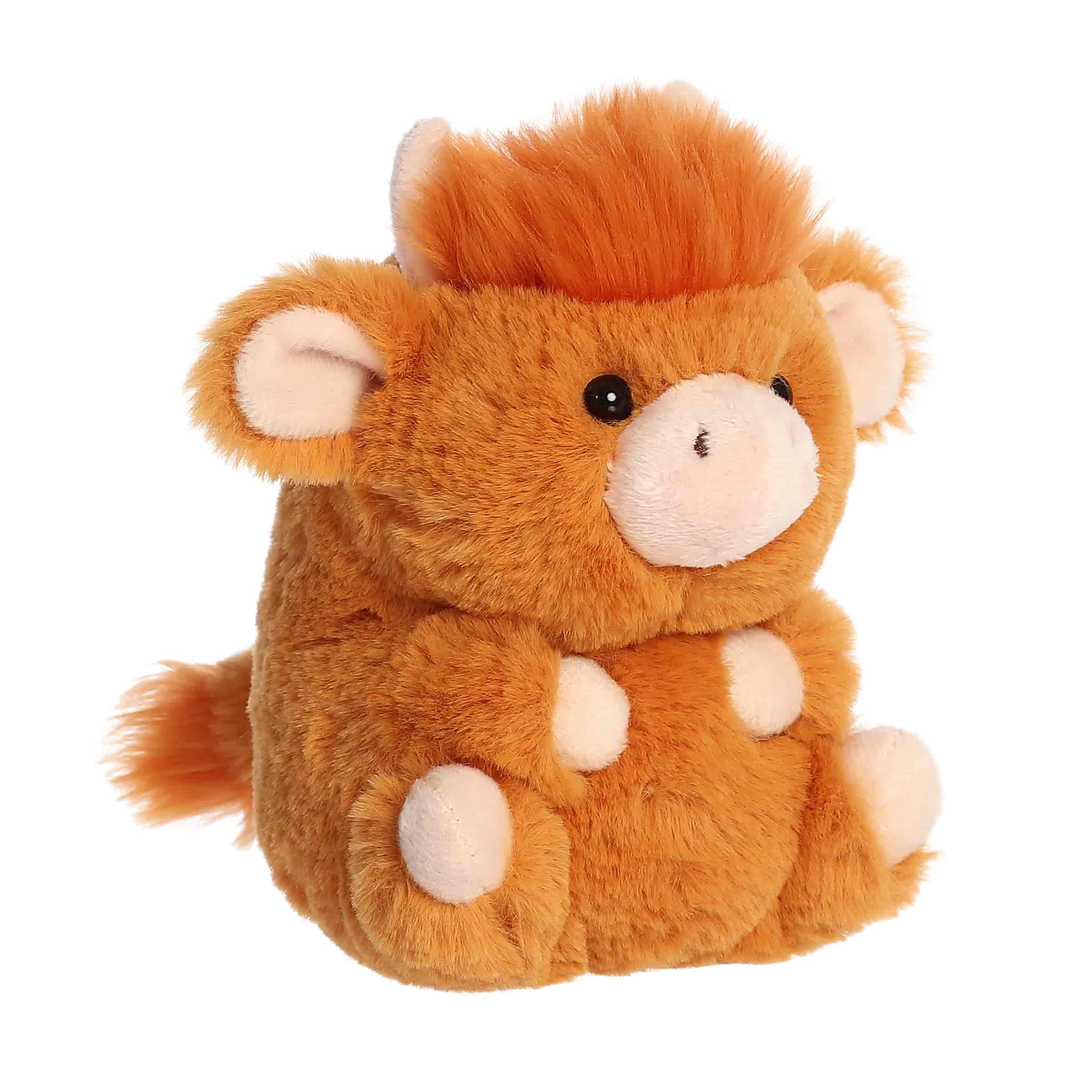 Harvey Highland | Aurora Rolly Pet