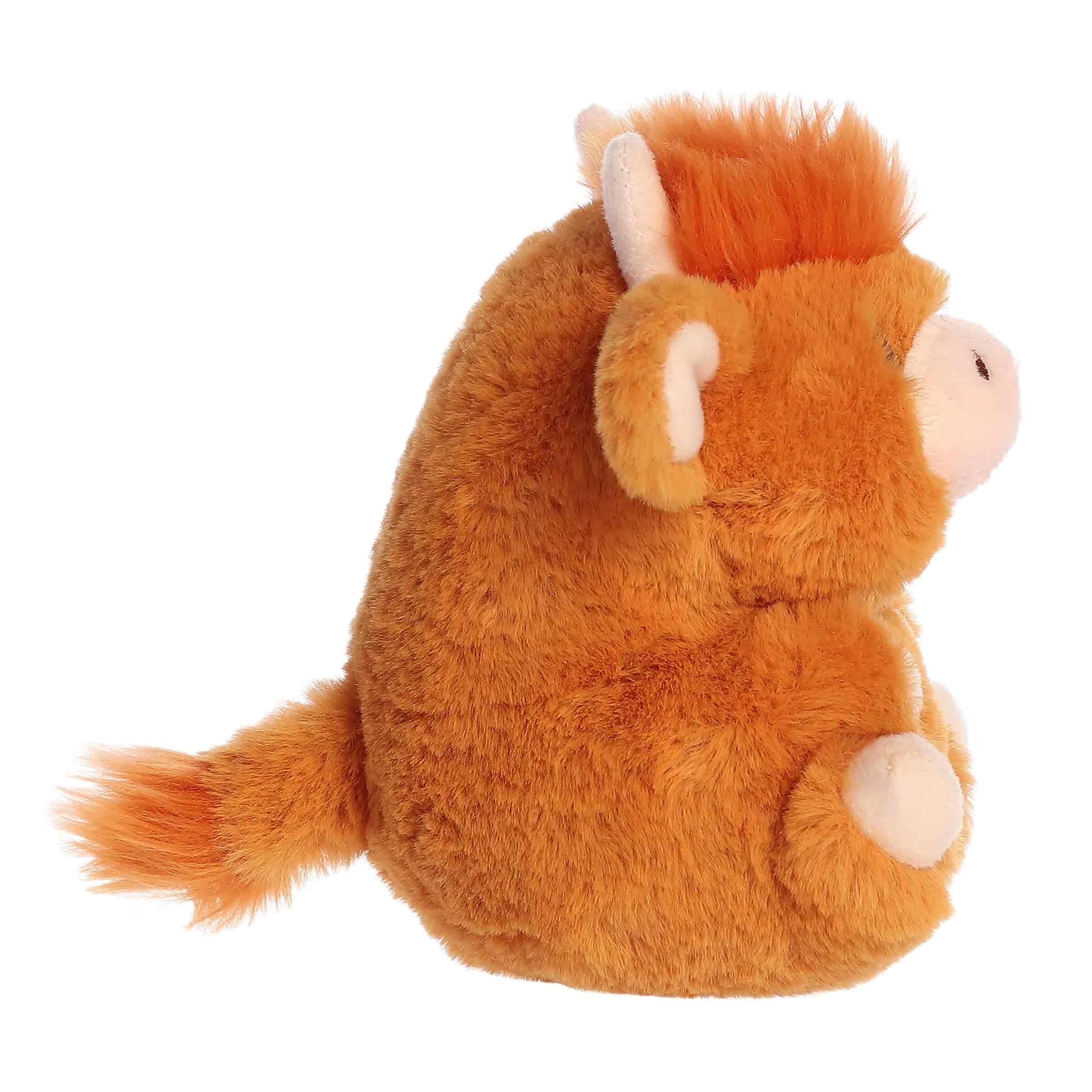 Harvey Highland | Aurora Rolly Pet
