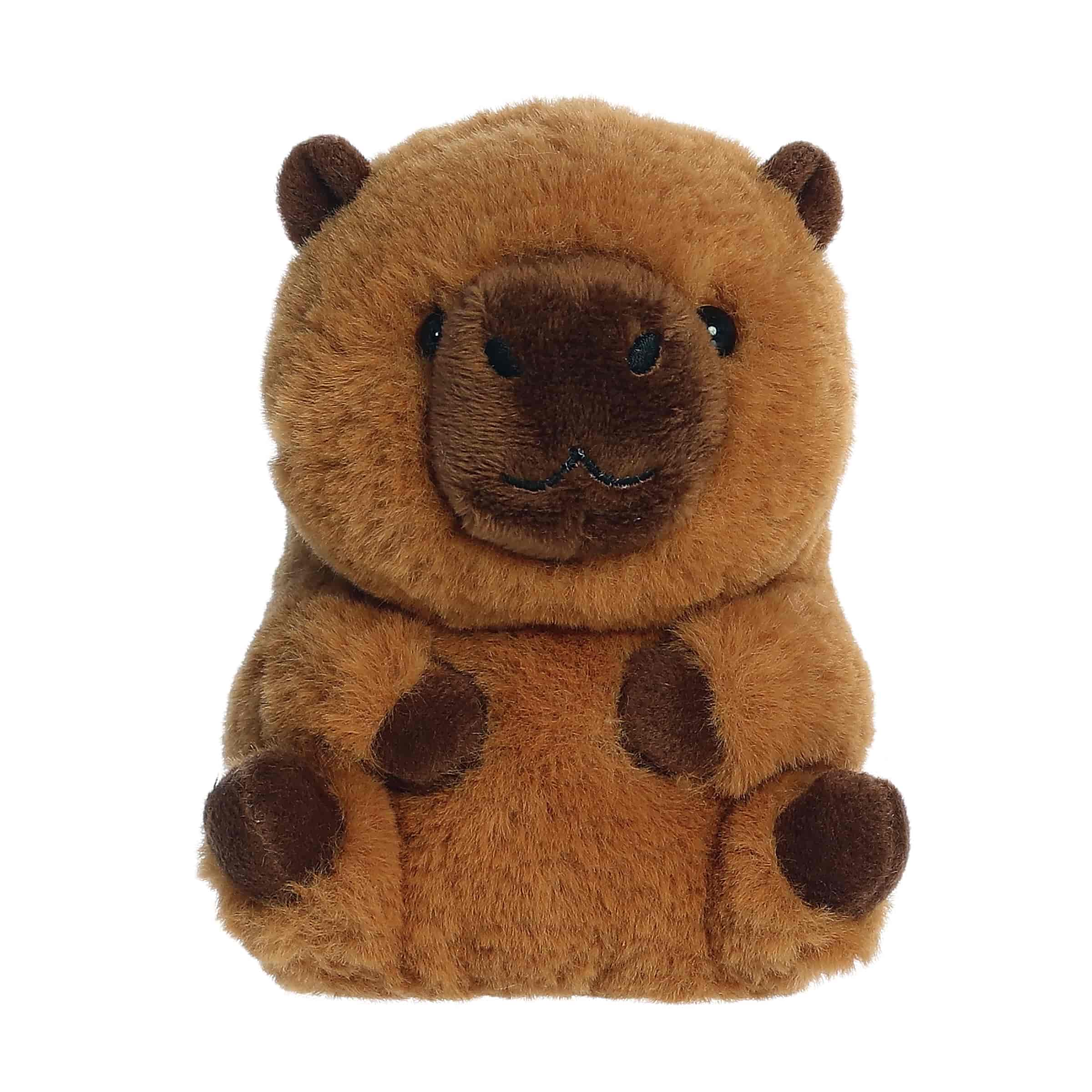 Charlie Capybara | Aurora Rolly Pet
