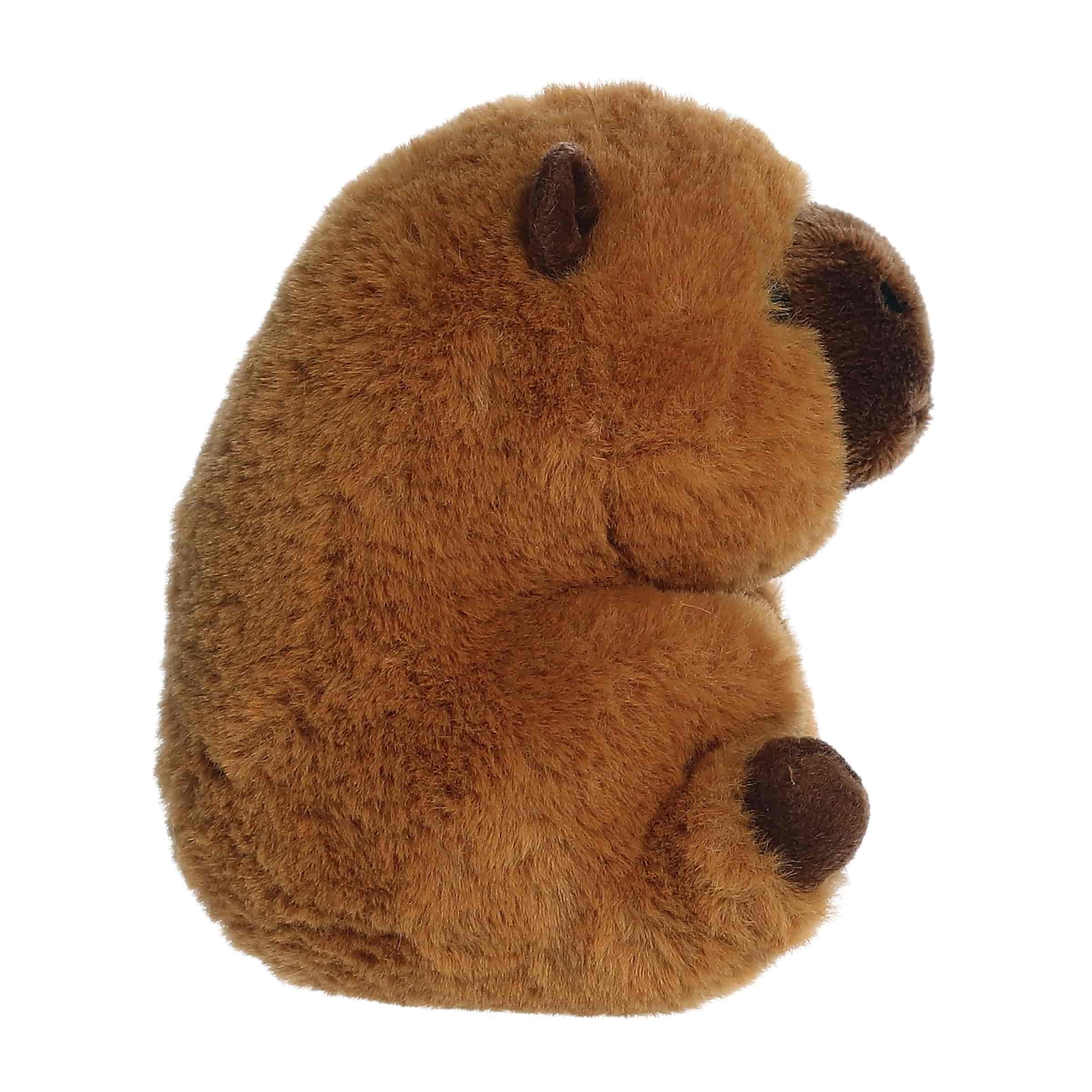 Charlie Capybara | Aurora Rolly Pet