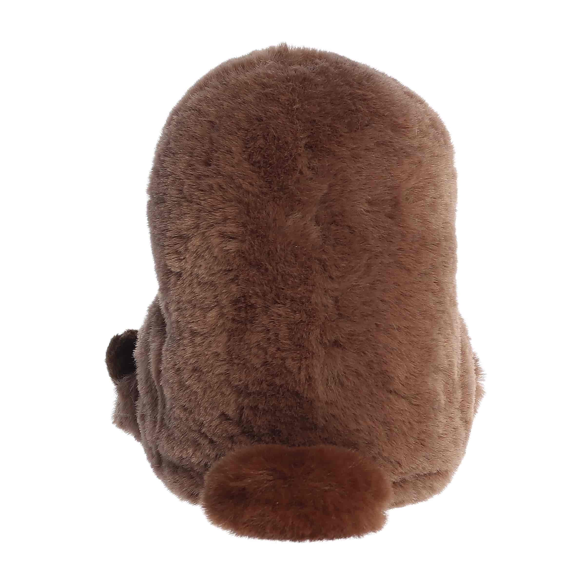 Porter Platypus | Aurora Rolly Pet