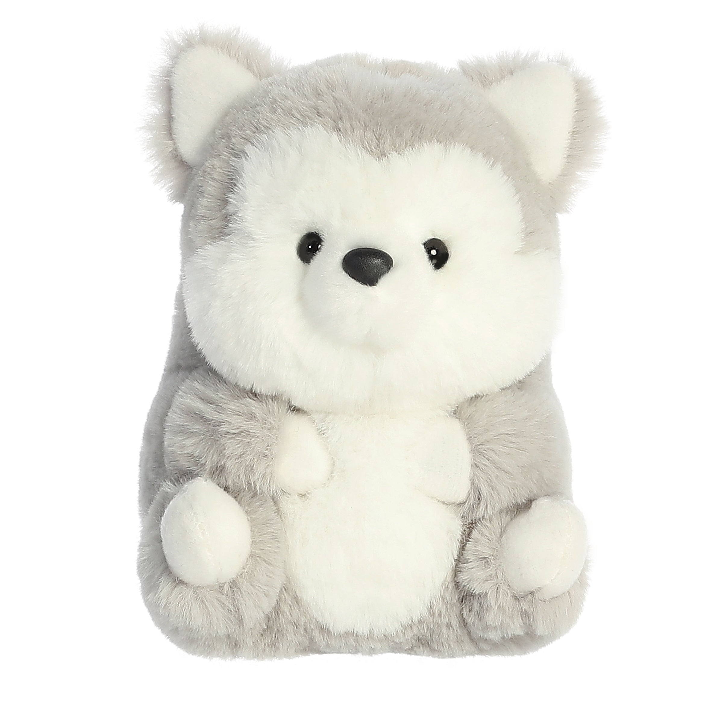 Hampshire Husky | Aurora Rolly Pet