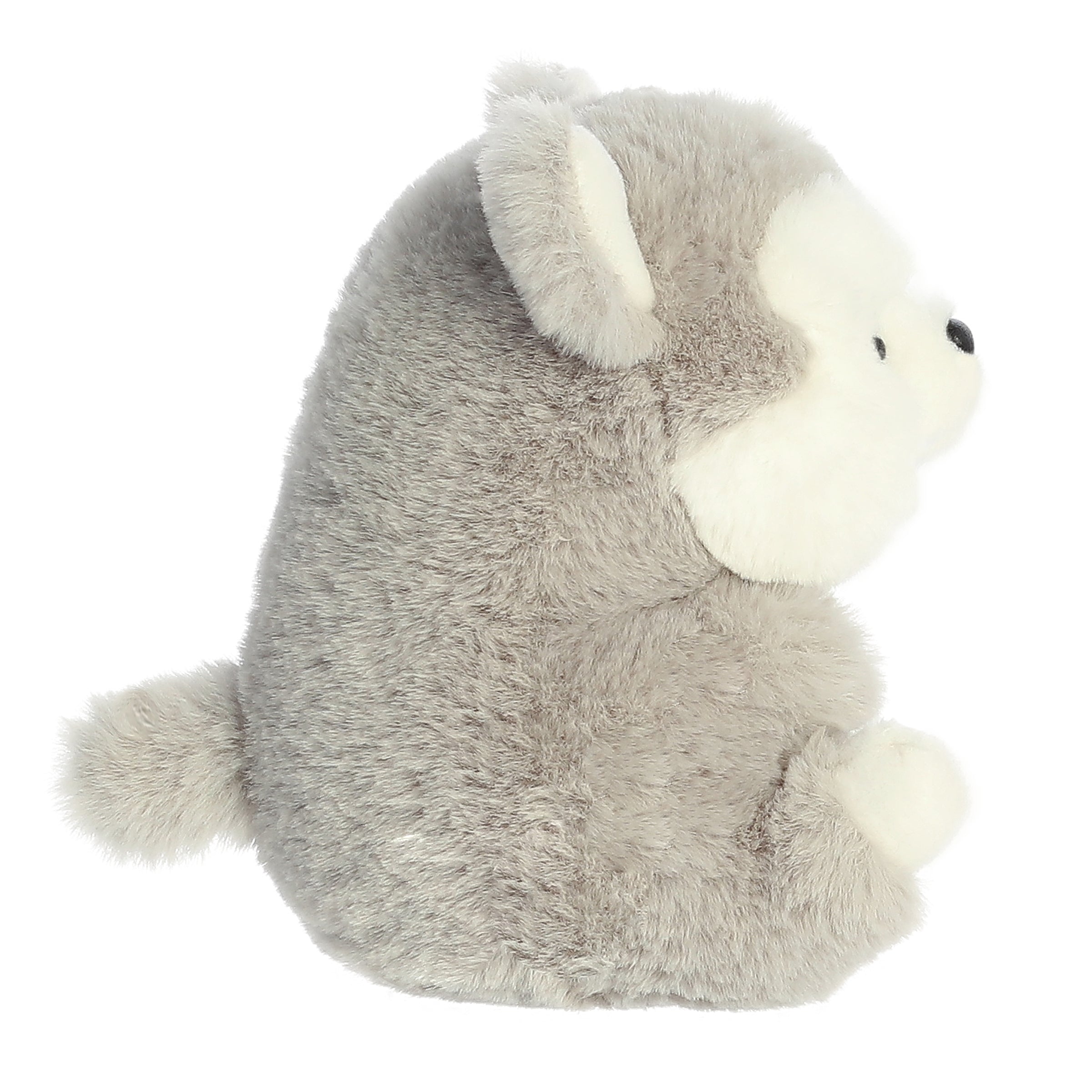 Hampshire Husky | Aurora Rolly Pet