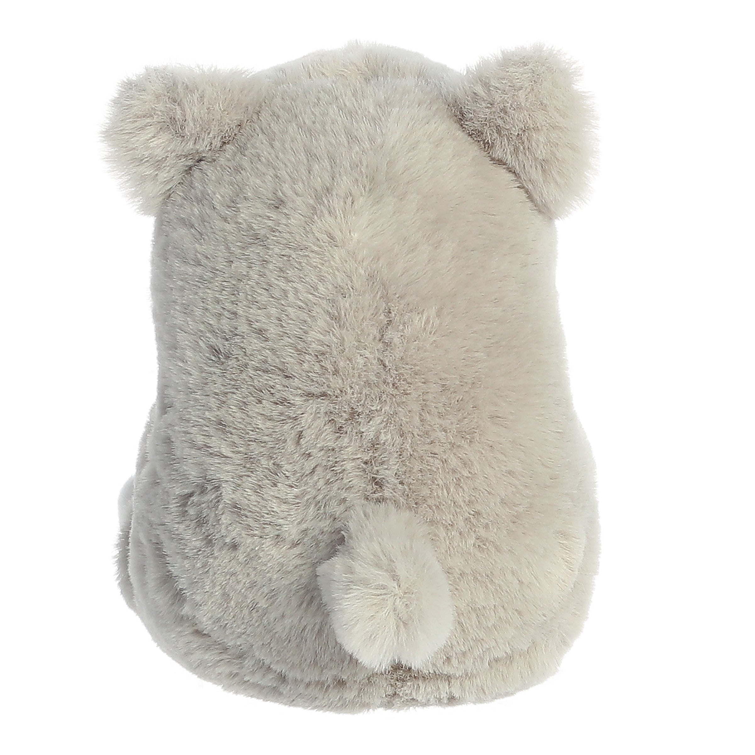 Hampshire Husky | Aurora Rolly Pet