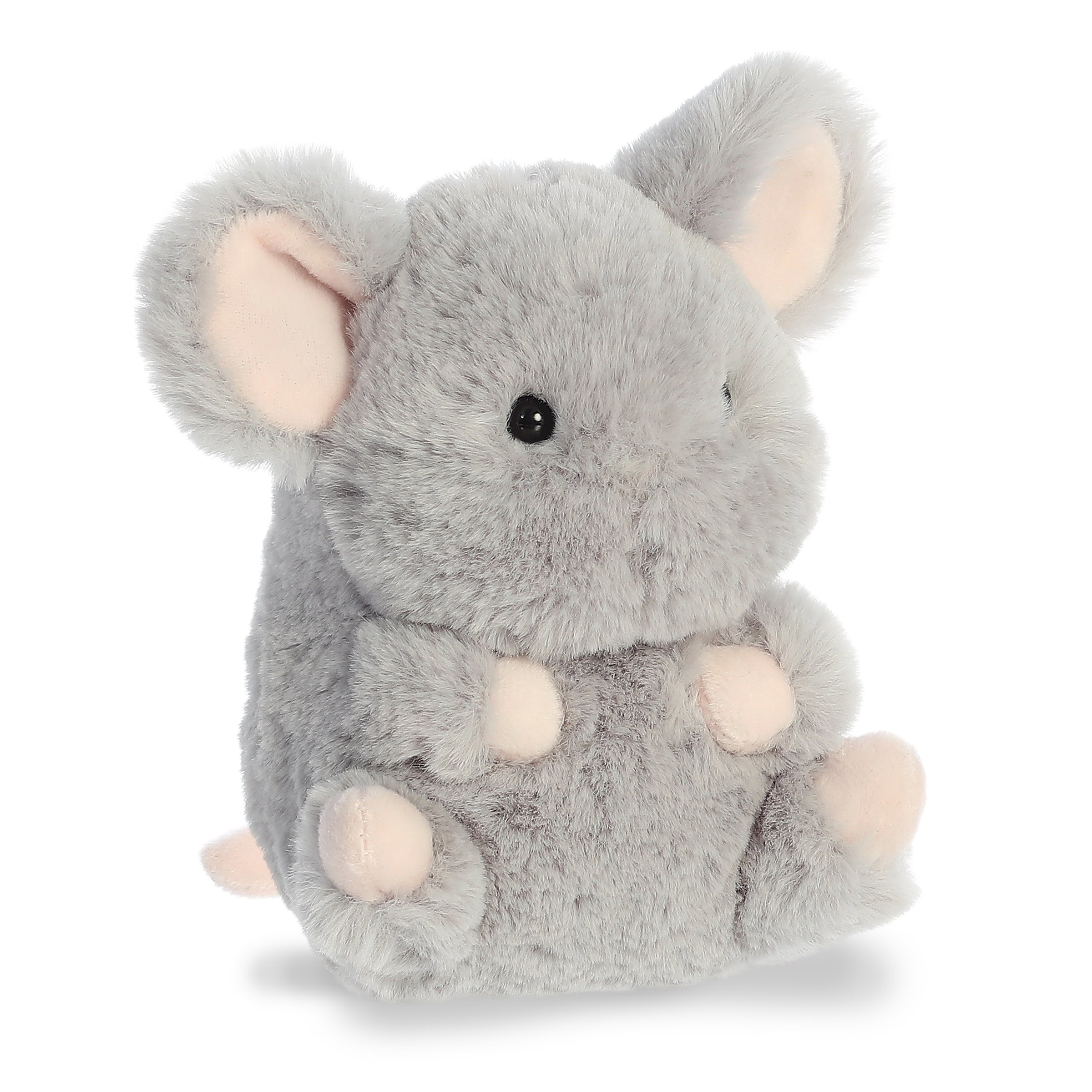 Frisk Mouse | Aurora Rolly Pet