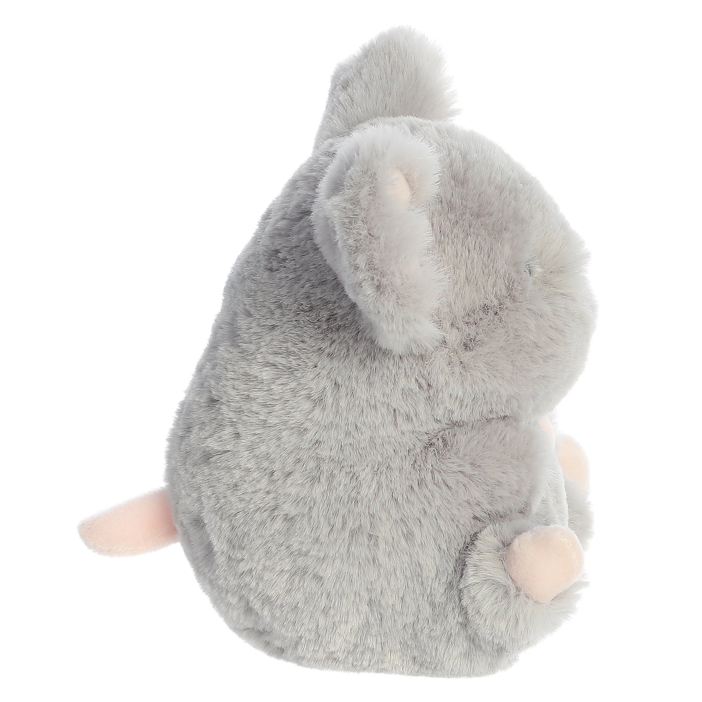 Frisk Mouse | Aurora Rolly Pet