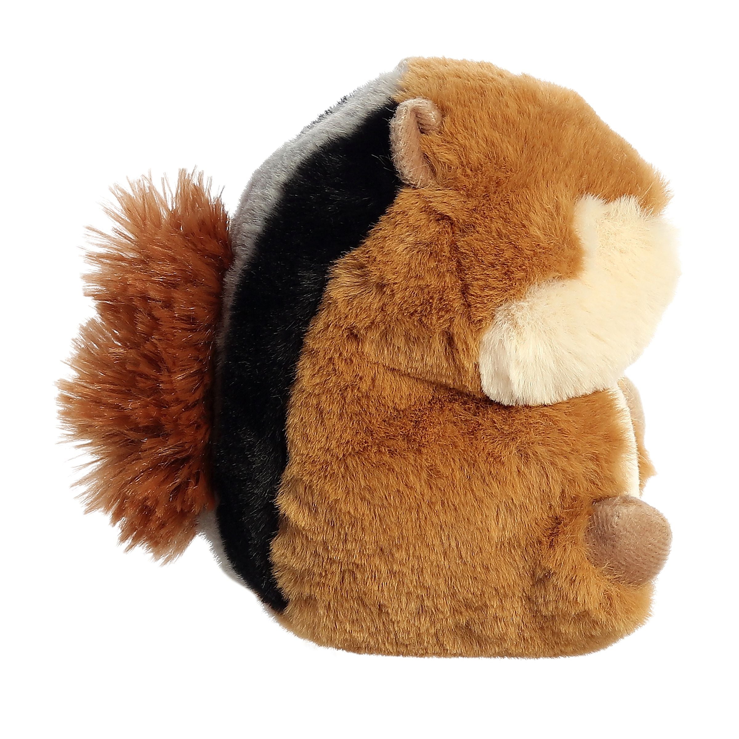 Romper Chipmunk | Aurora Rolly Pet