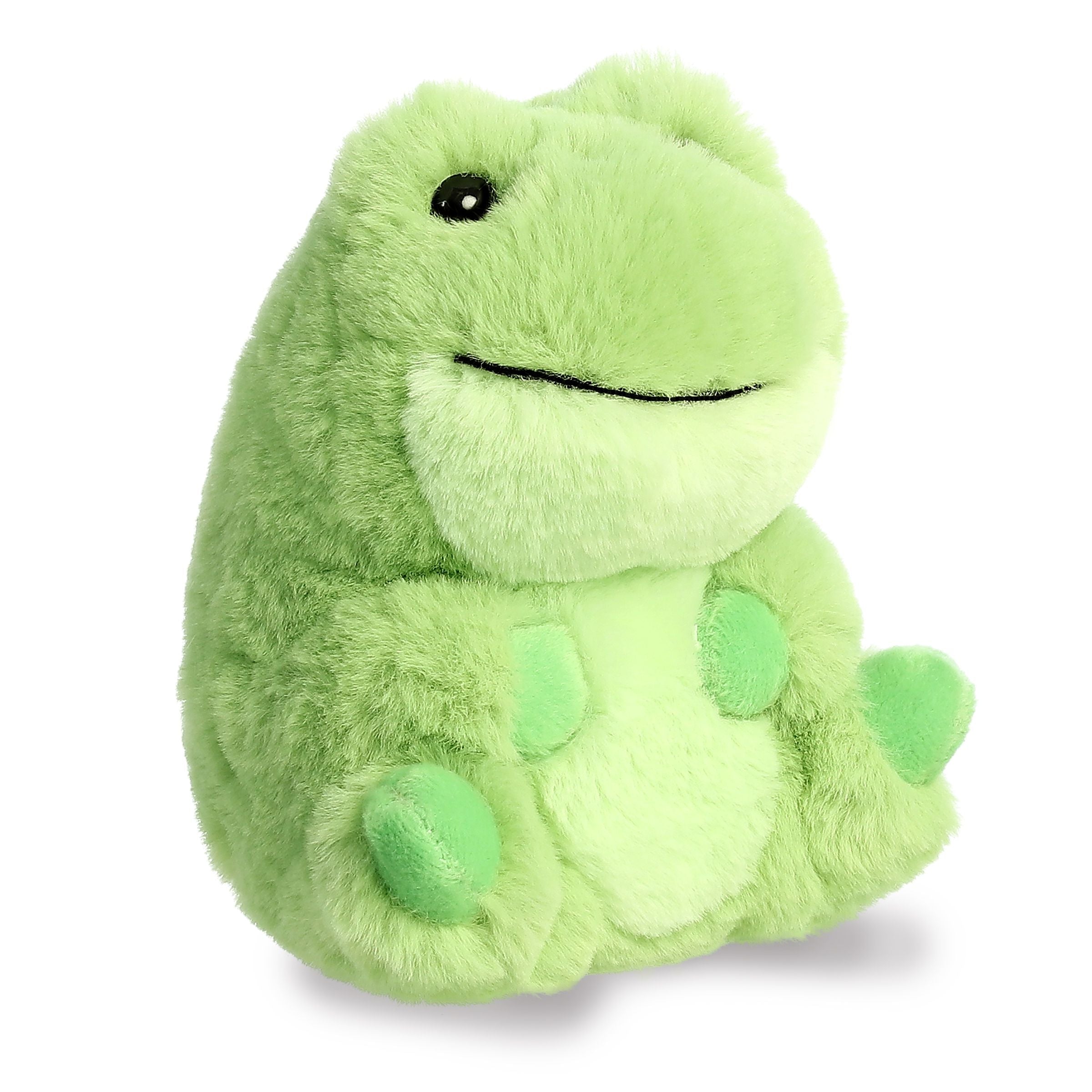 Riberto Frog | Aurora Rolly Pet