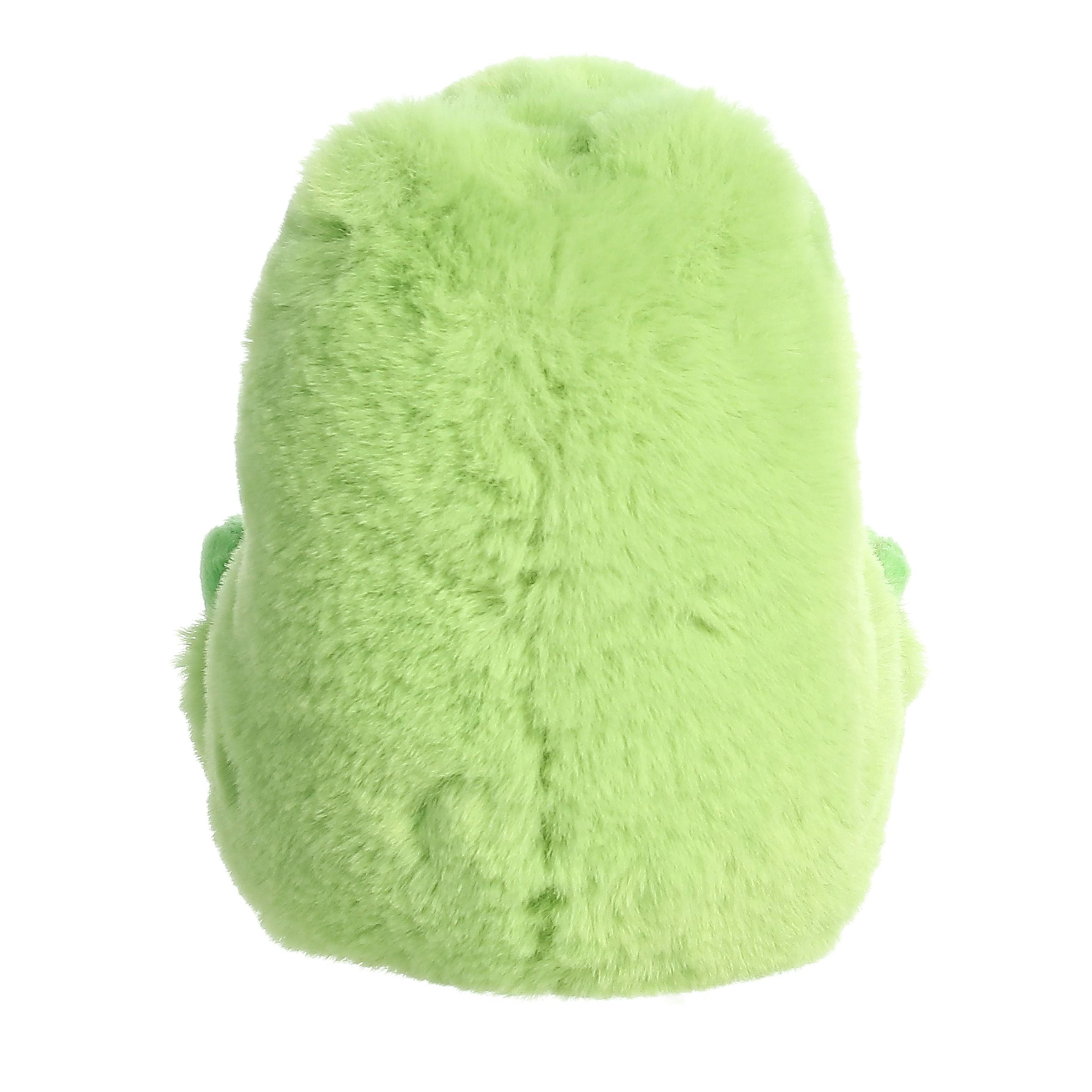 Riberto Frog | Aurora Rolly Pet