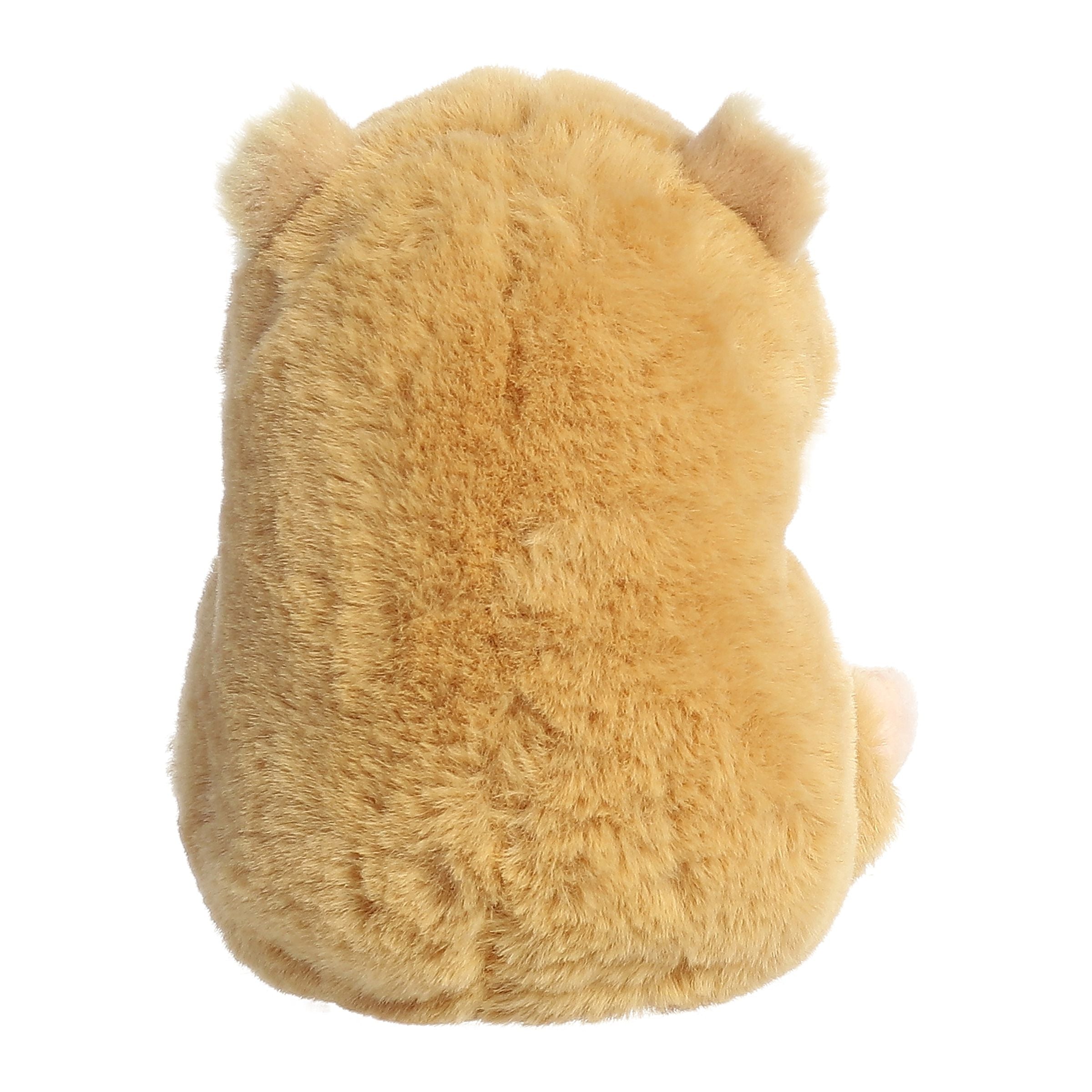 Frolic Hamster | Aurora Rolly Pet