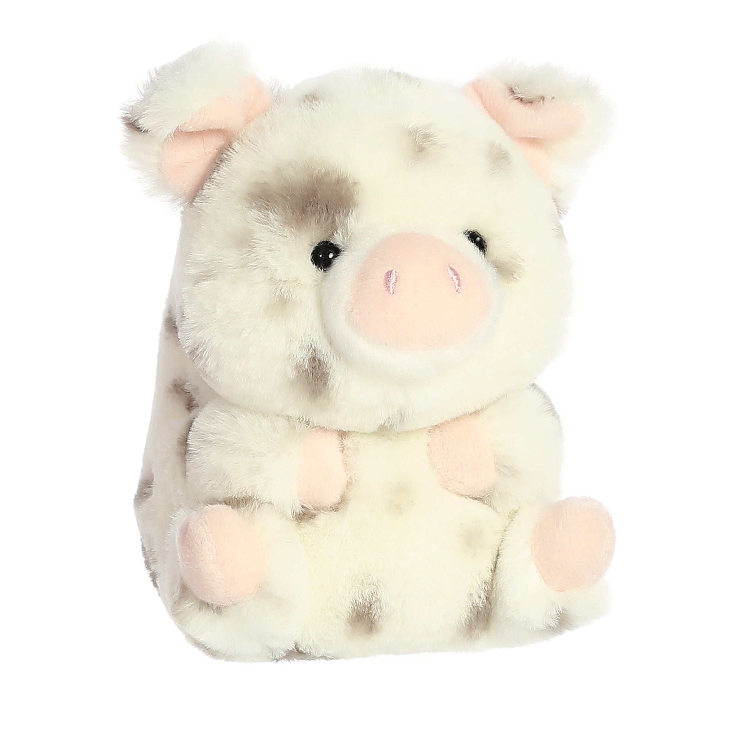 Periwinkle Pig | Aurora Rolly Pet