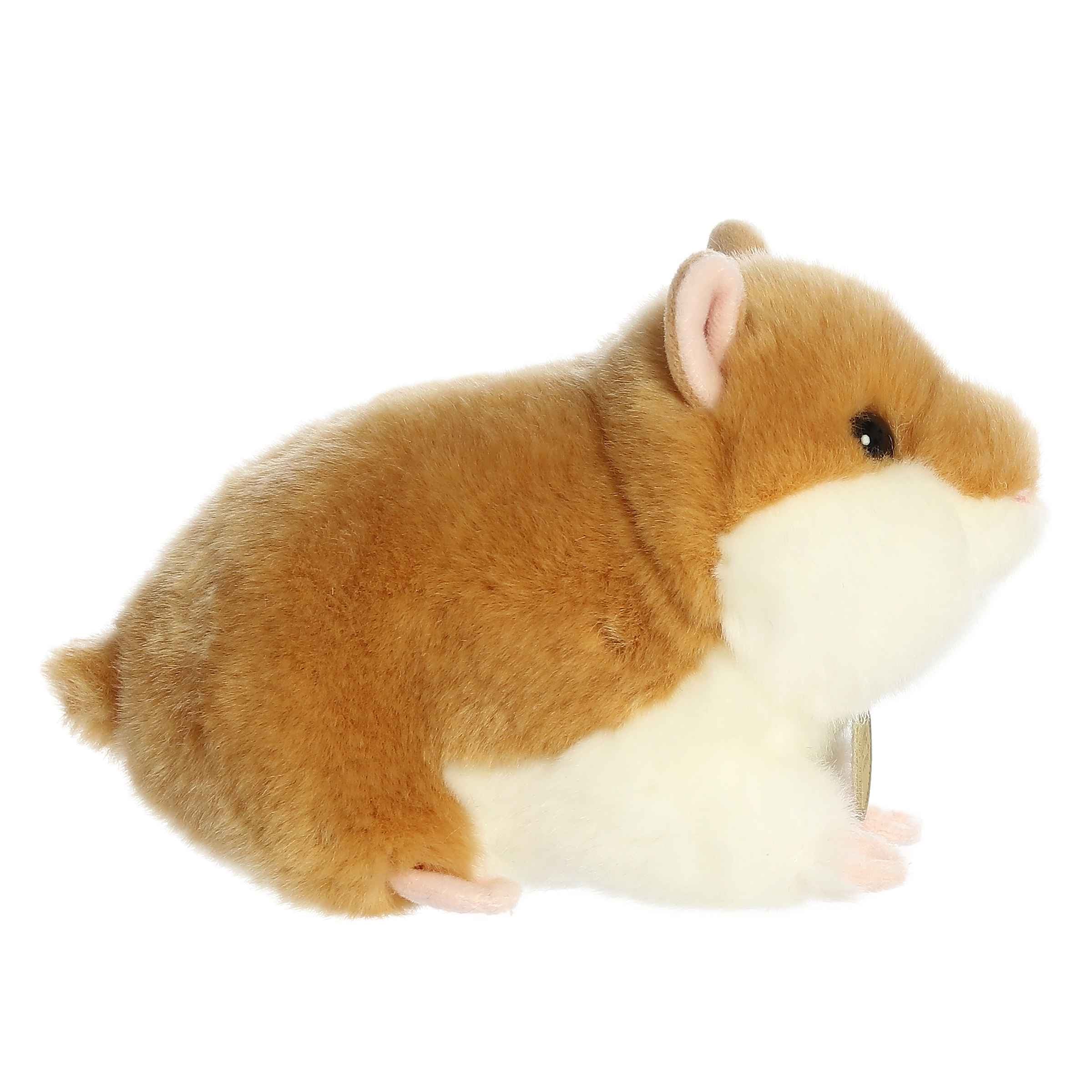 Hamster | Aurora Miyoni