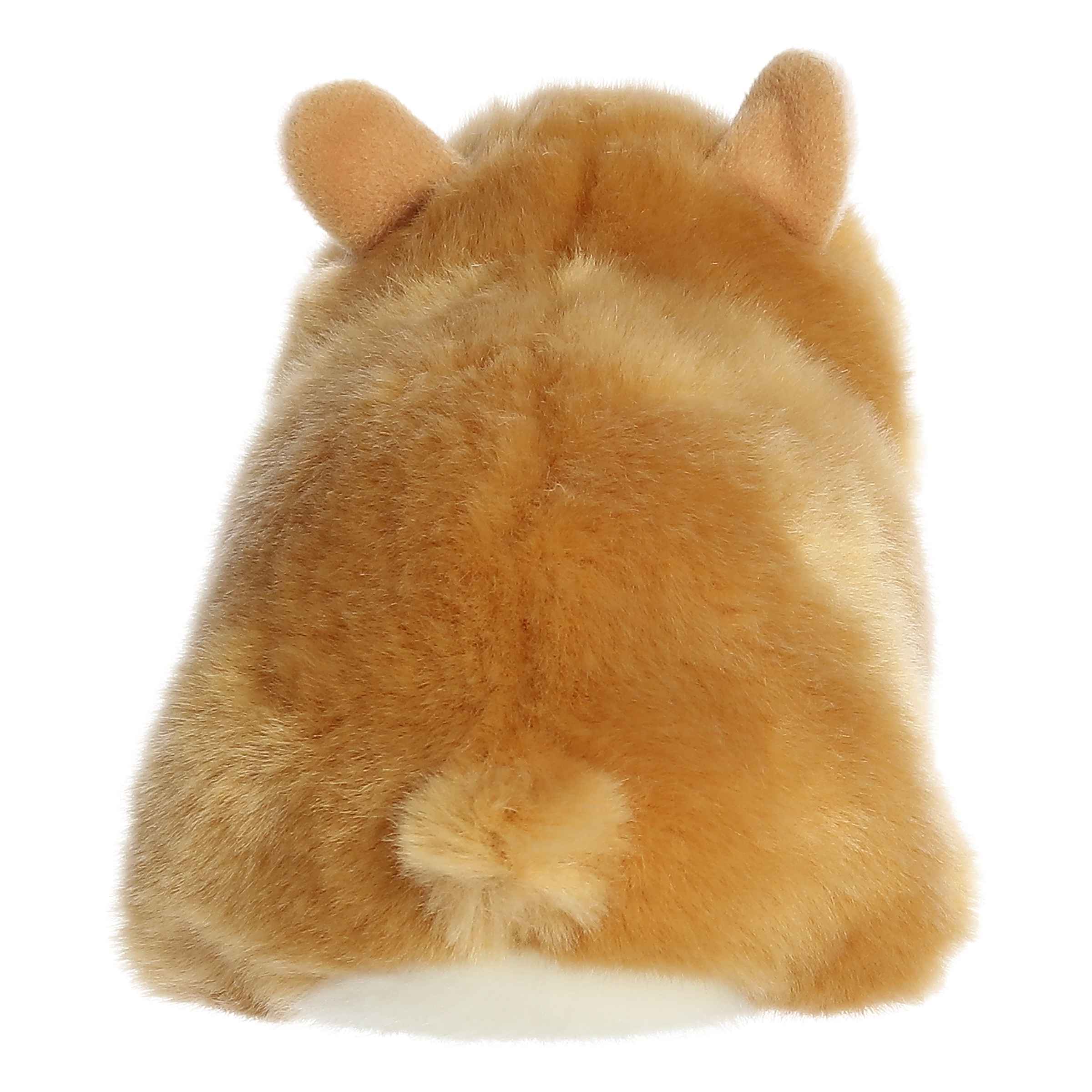 Hamster | Aurora Miyoni