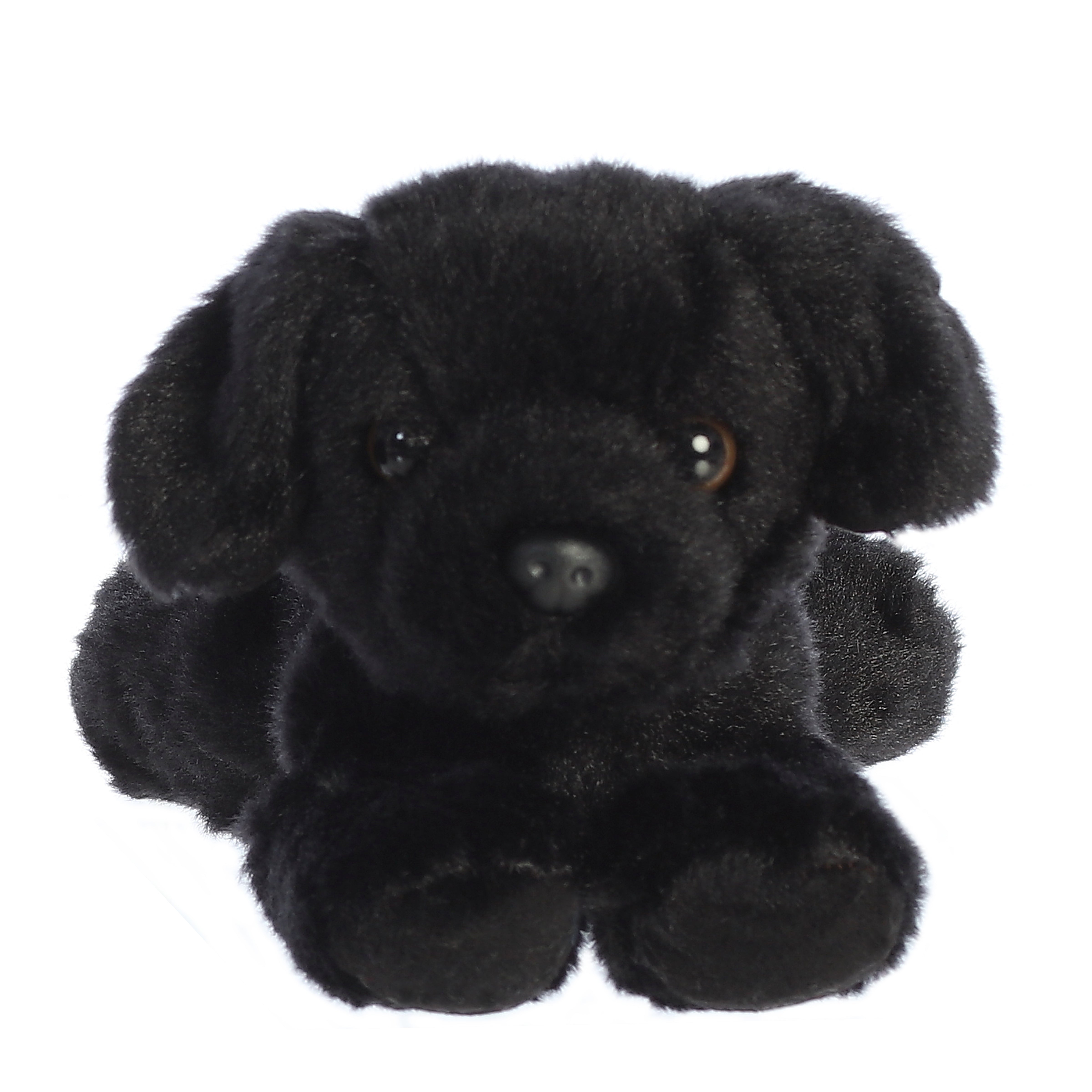 Blackie | Aurora Mini Flopsie