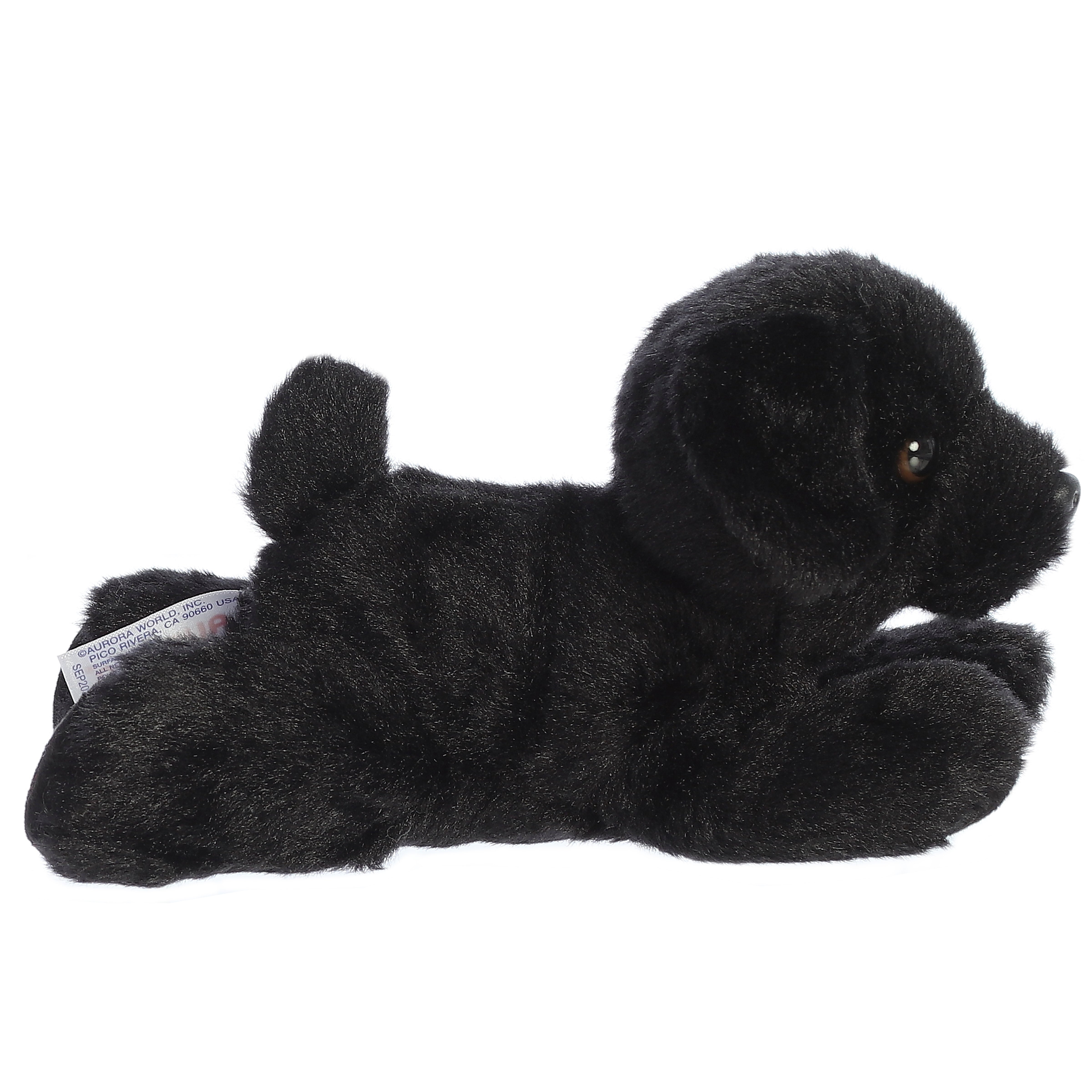Blackie | Aurora Mini Flopsie