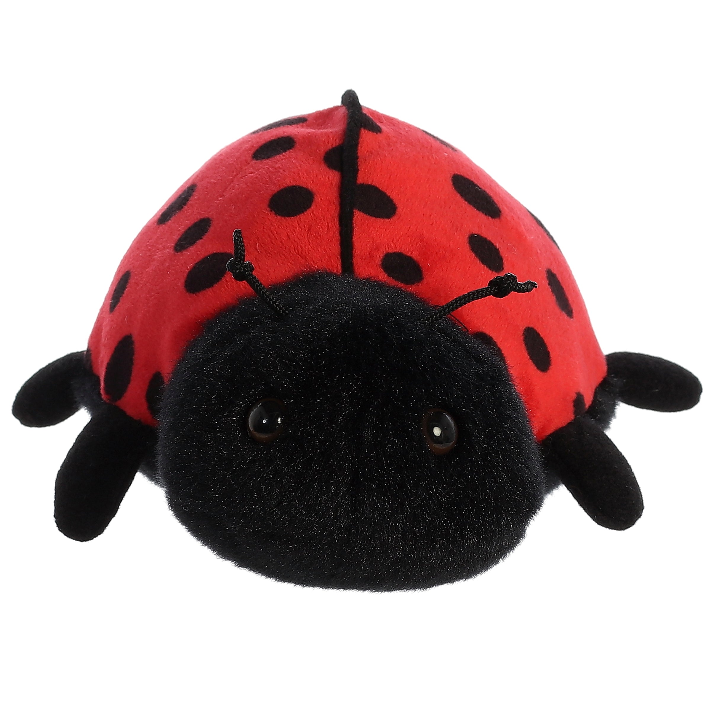 Ladybug - Ladybird | Aurora Mini Flopsie