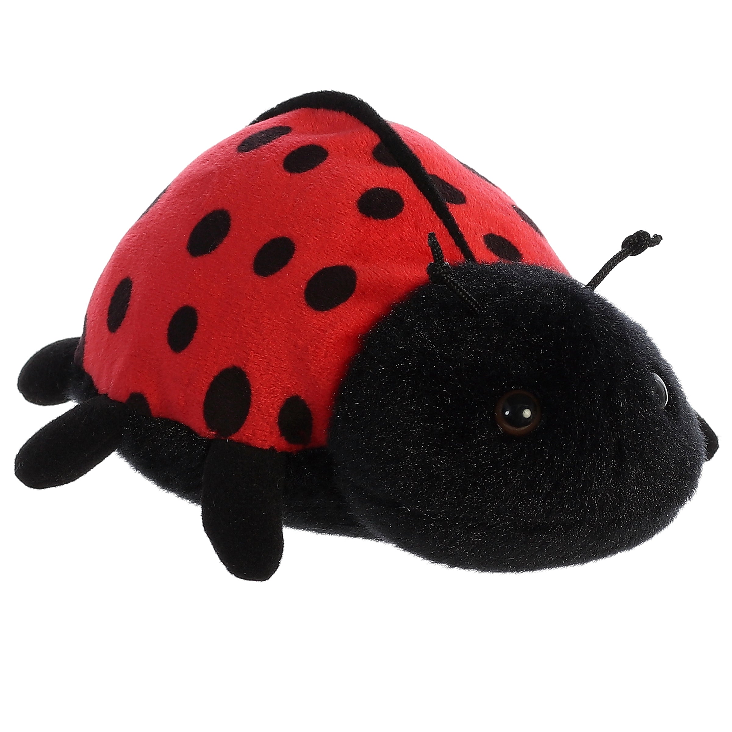 Ladybug - Ladybird | Aurora Mini Flopsie