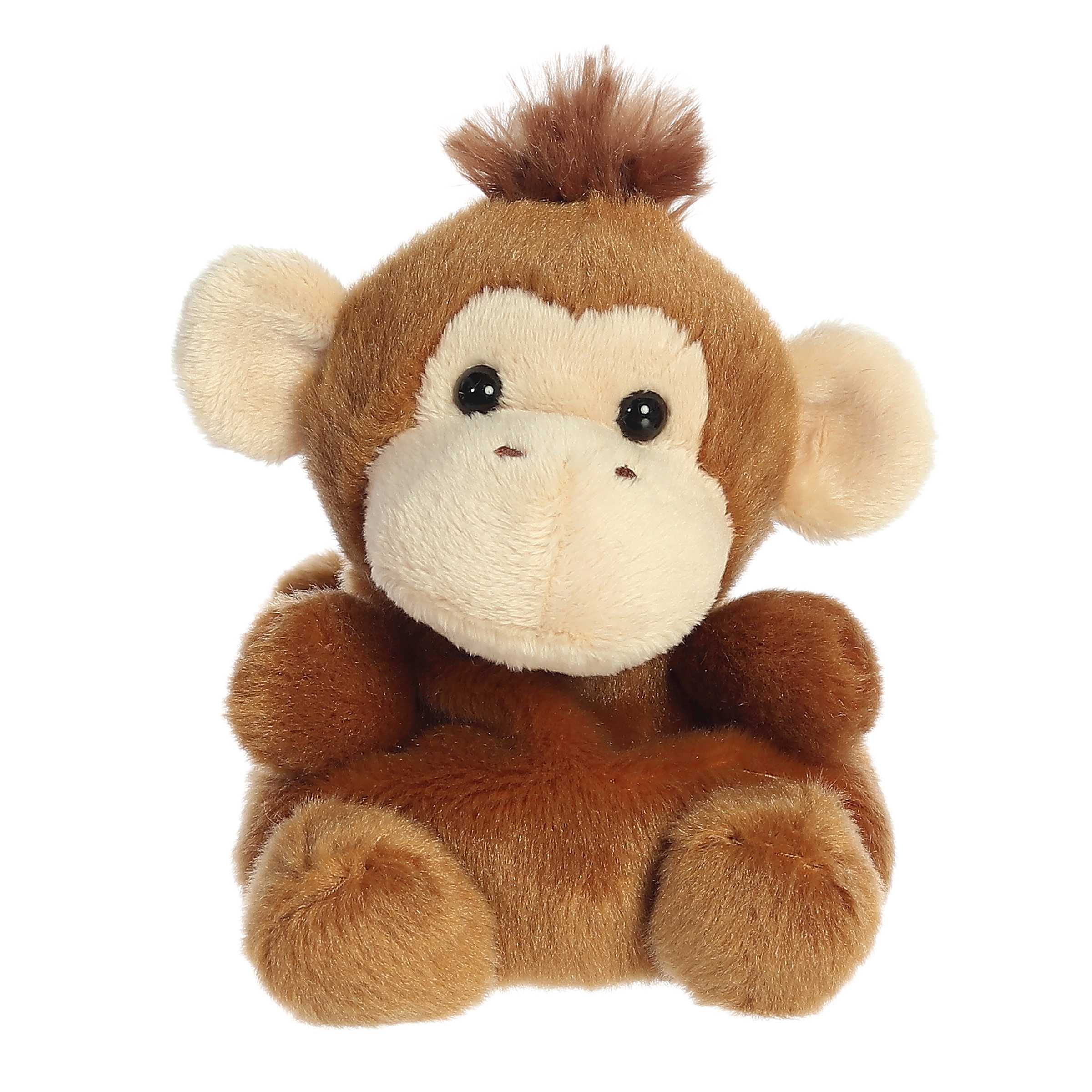 Boomer Monkey | Aurora Palm Pals