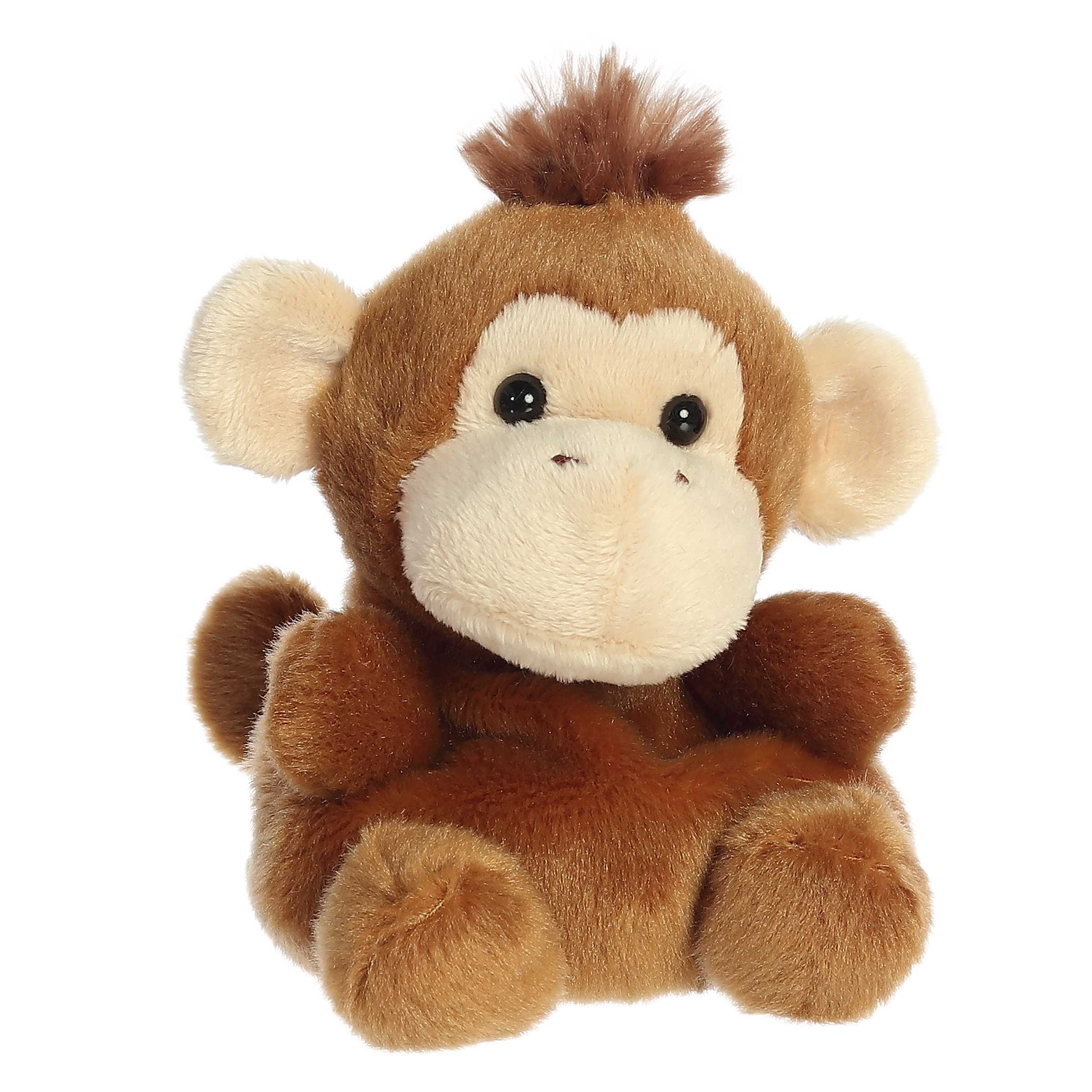 Boomer Monkey | Aurora Palm Pals