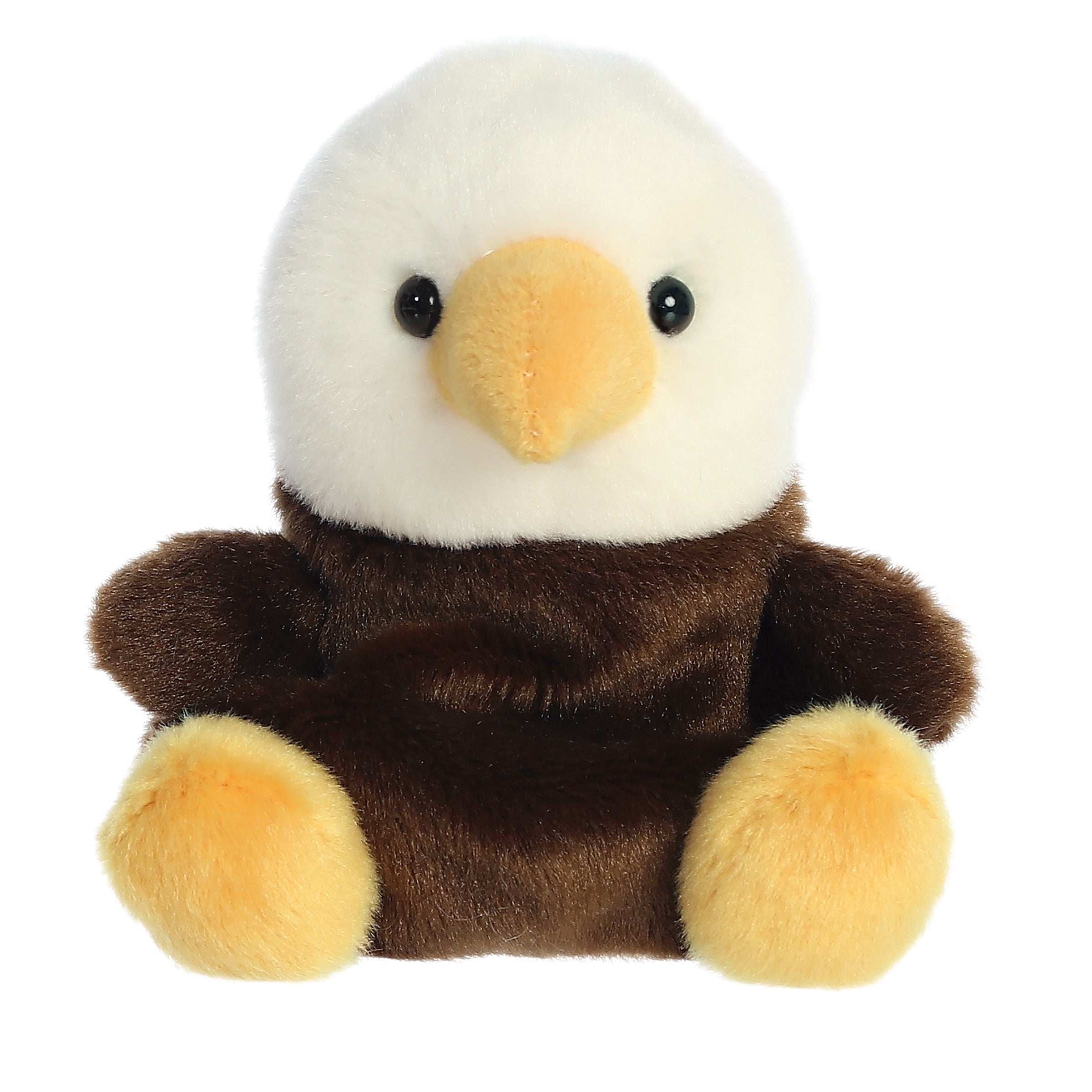 Murphy Bald Eagle | Aurora Palm Pals