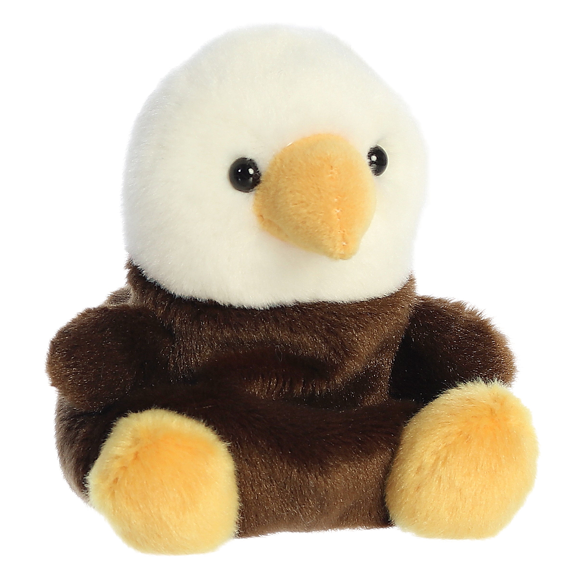Murphy Bald Eagle | Aurora Palm Pals