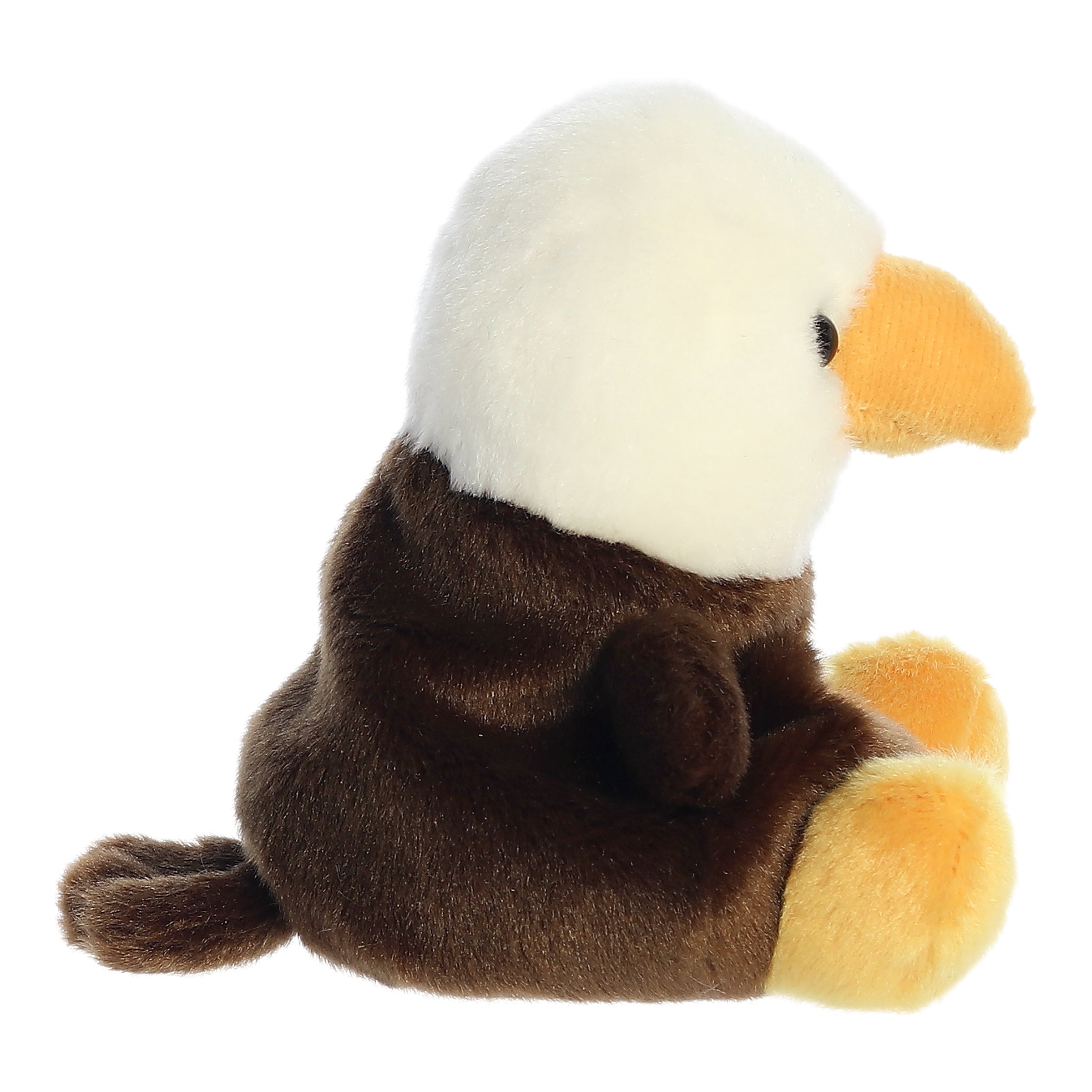 Murphy Bald Eagle | Aurora Palm Pals