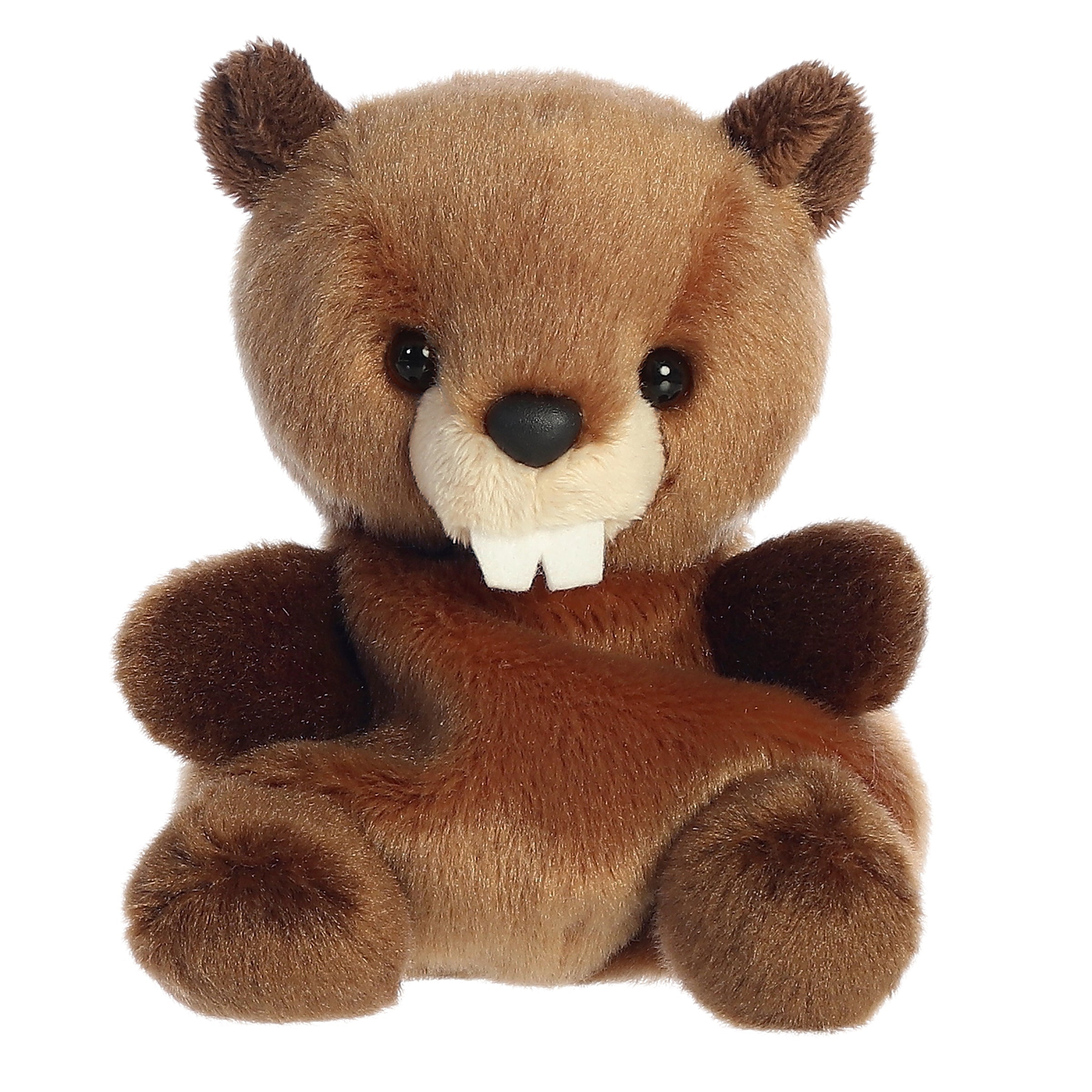 Chewy Beaver | Aurora Palm Pals